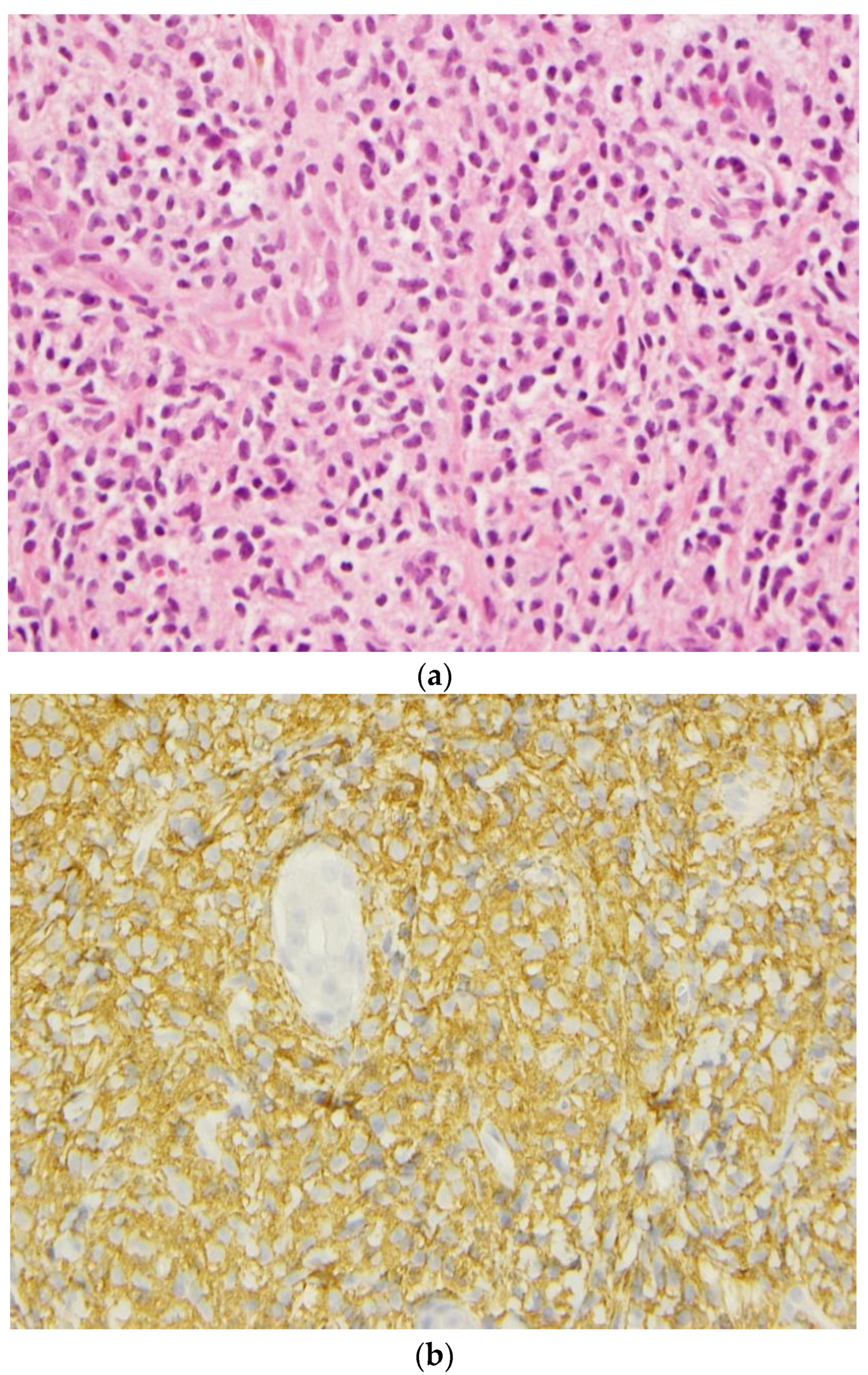 Curroncol 30 00649 g002