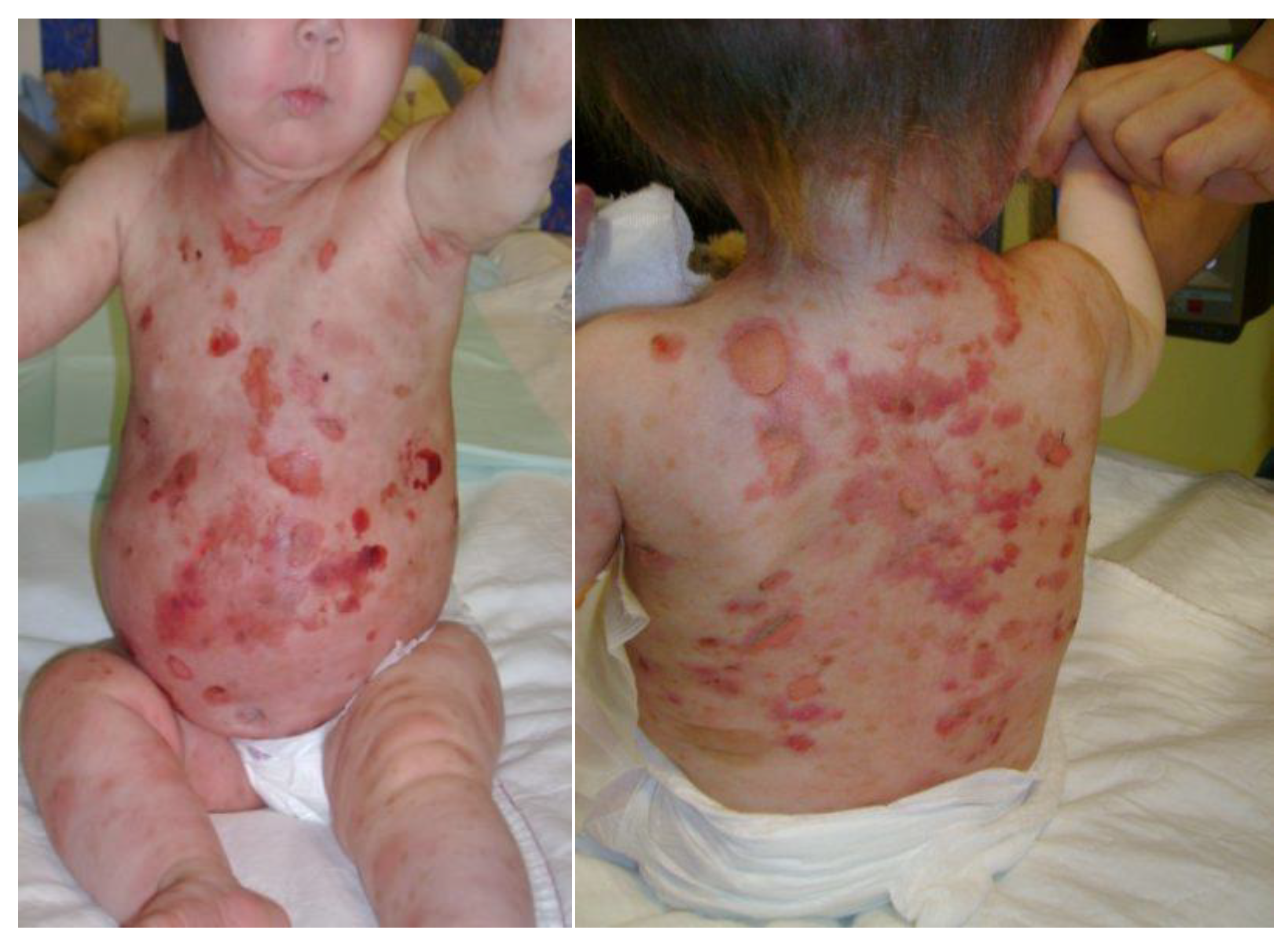 Curroncol 30 00649 g004