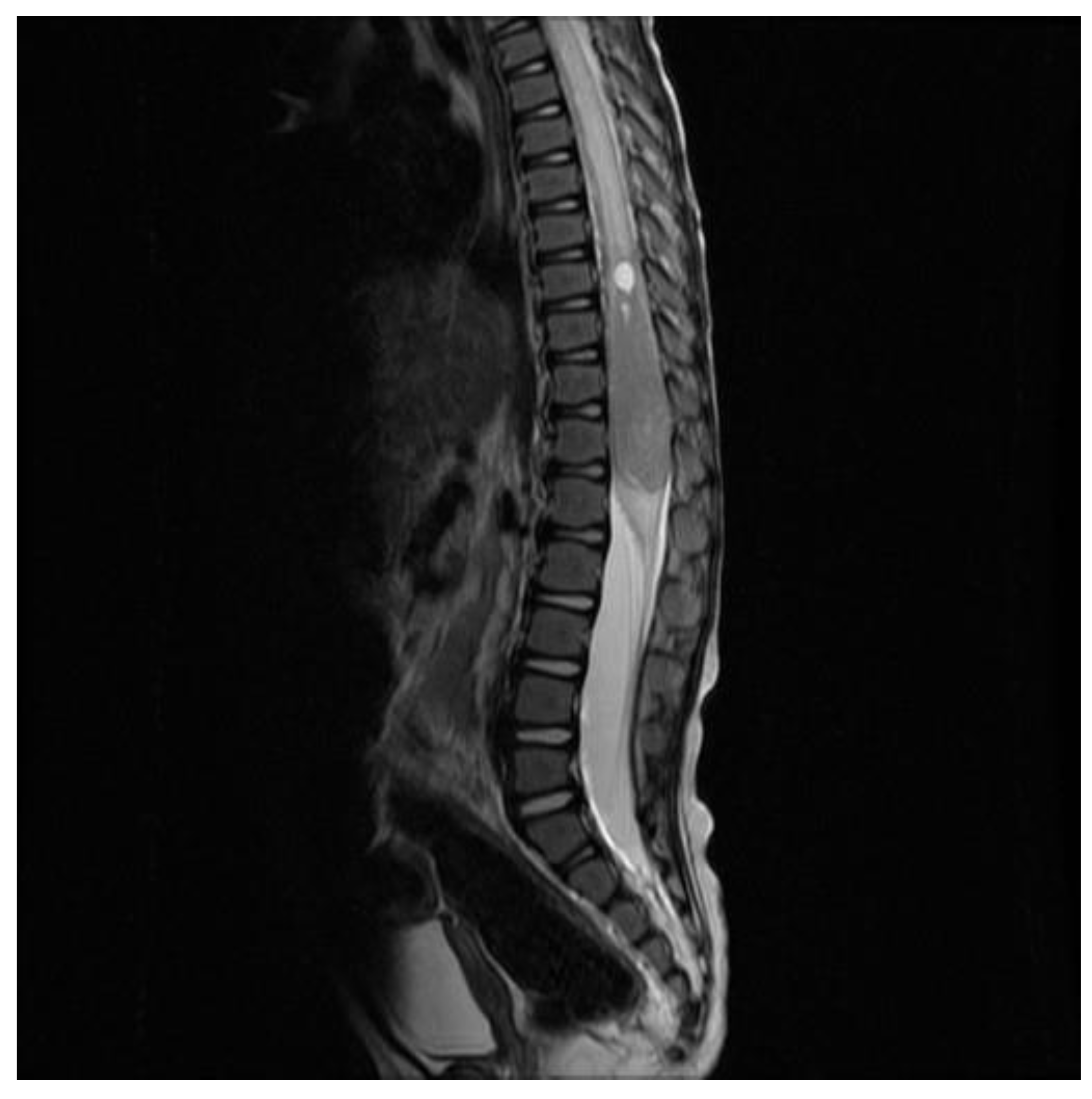 Curroncol 30 00649 g005