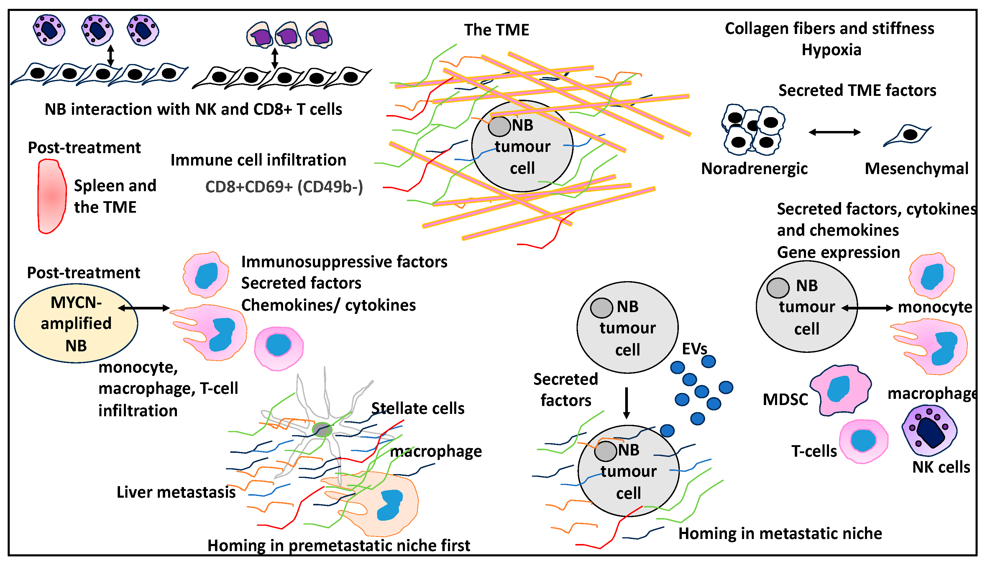 Curroncol 30 00659 g001