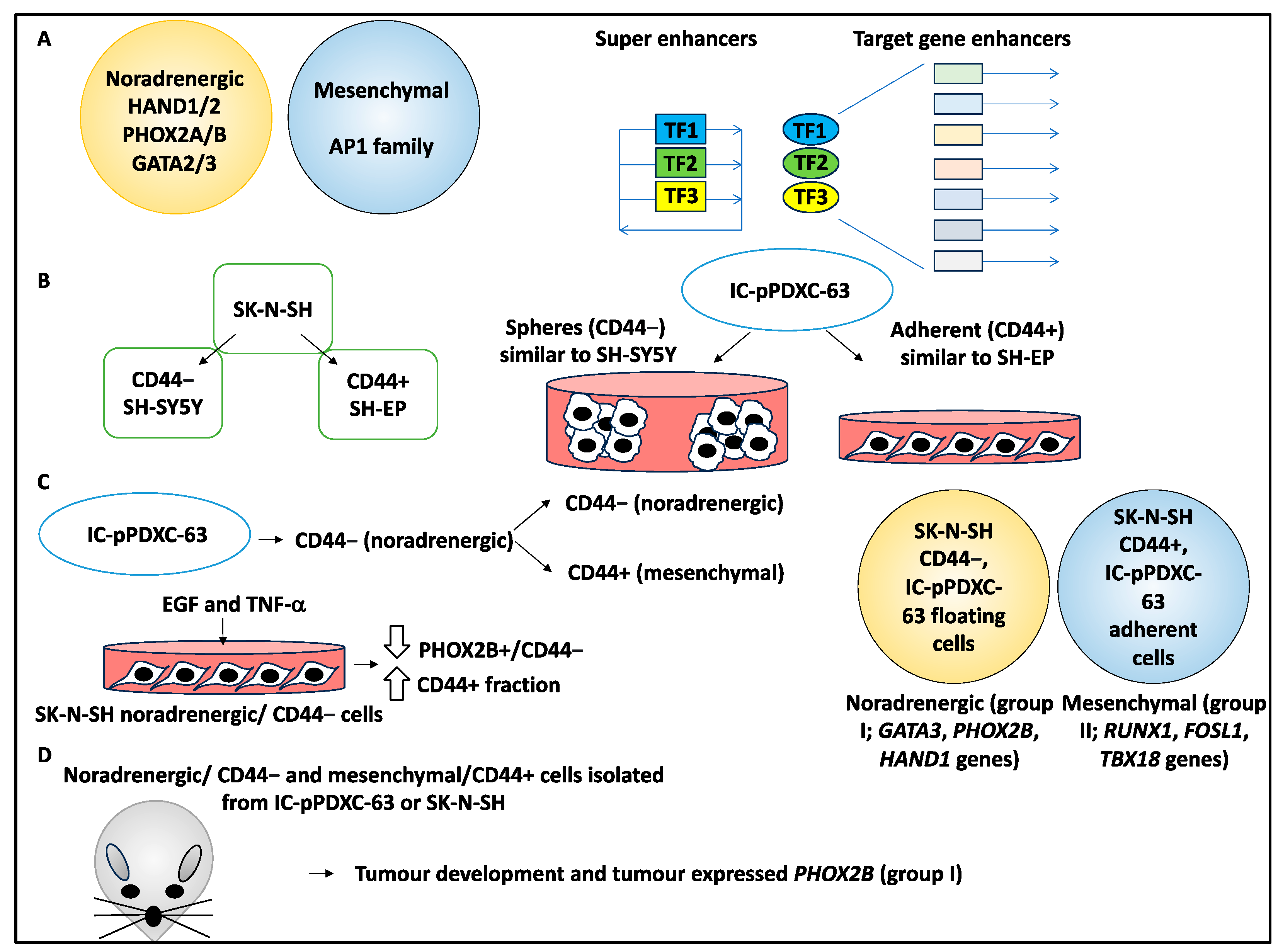 Curroncol 30 00659 g003