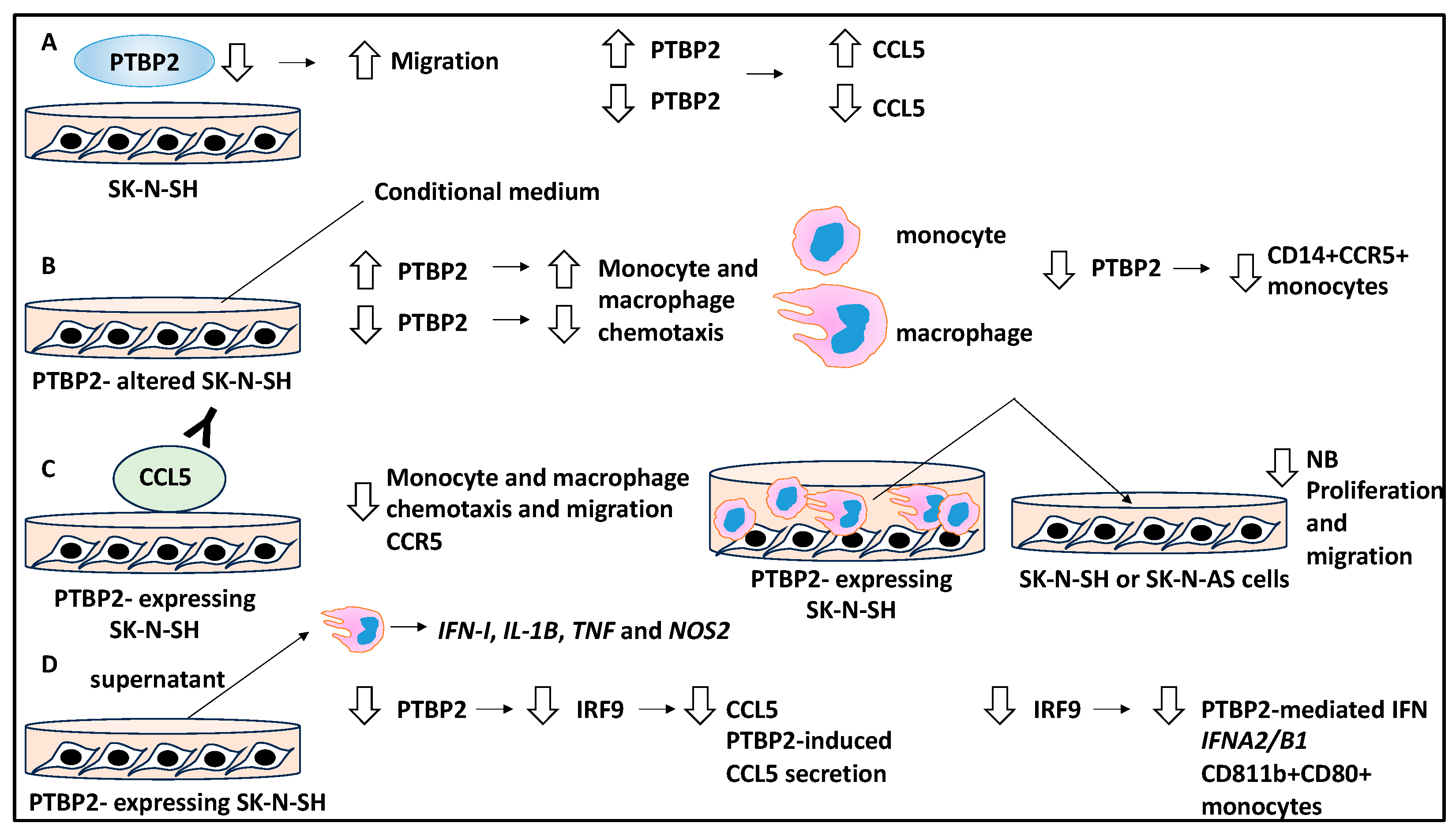 Curroncol 30 00659 g004