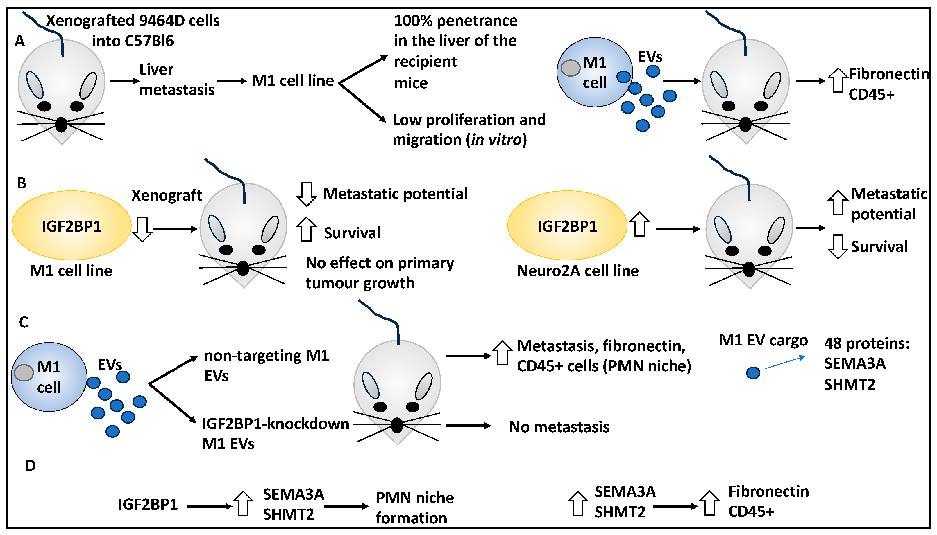 Curroncol 30 00659 g005