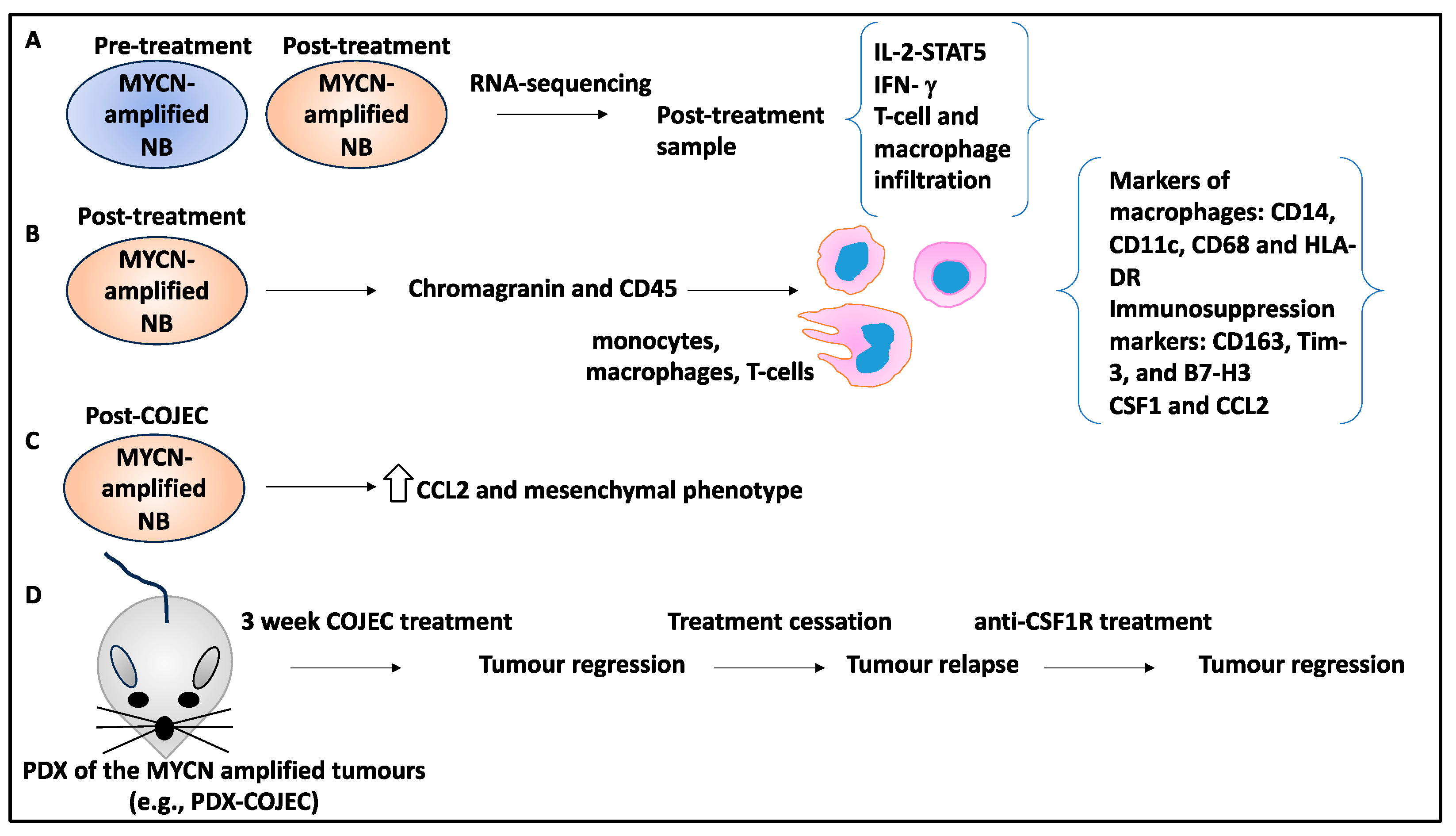 Curroncol 30 00659 g007