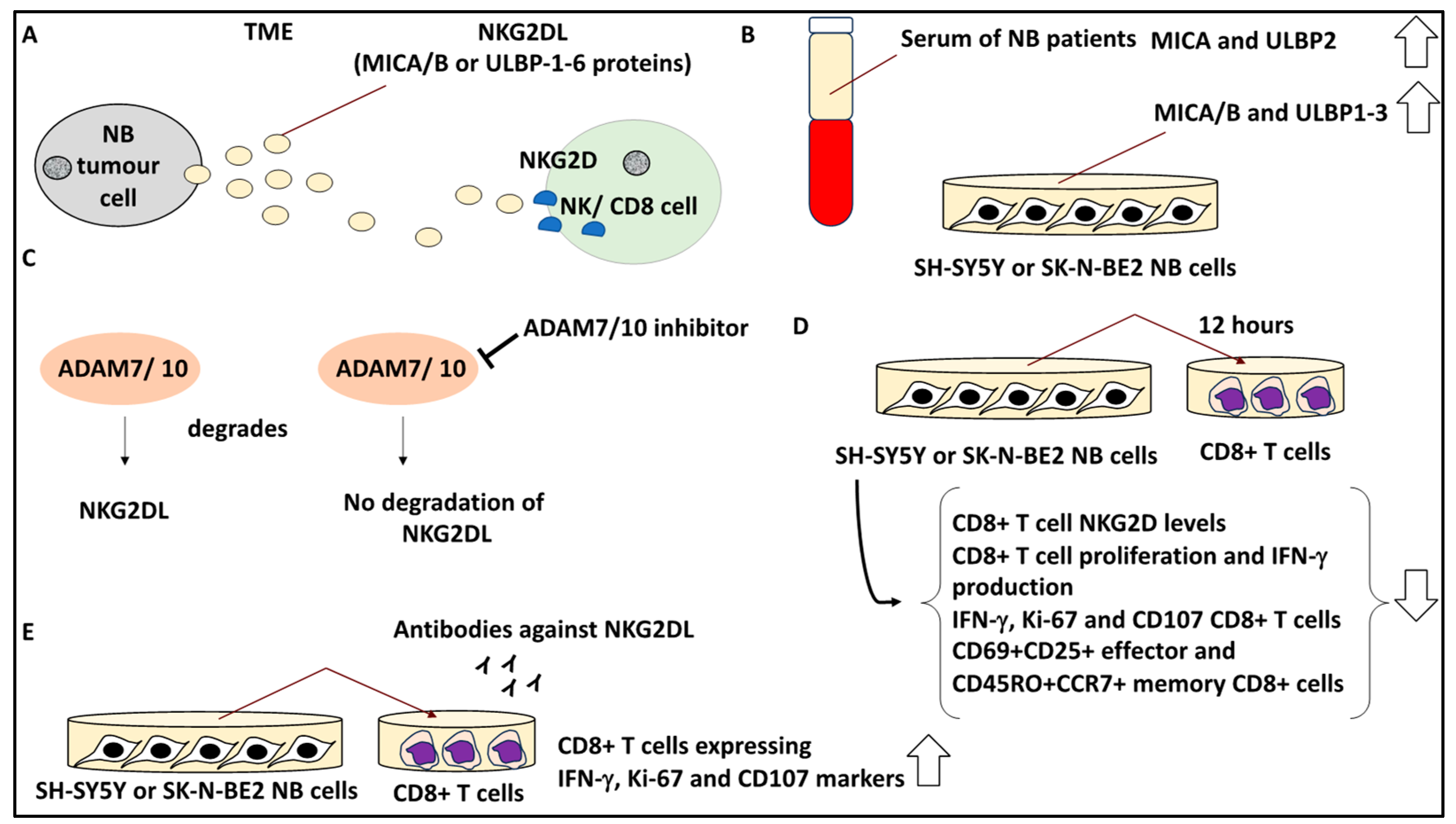 Curroncol 30 00659 g010