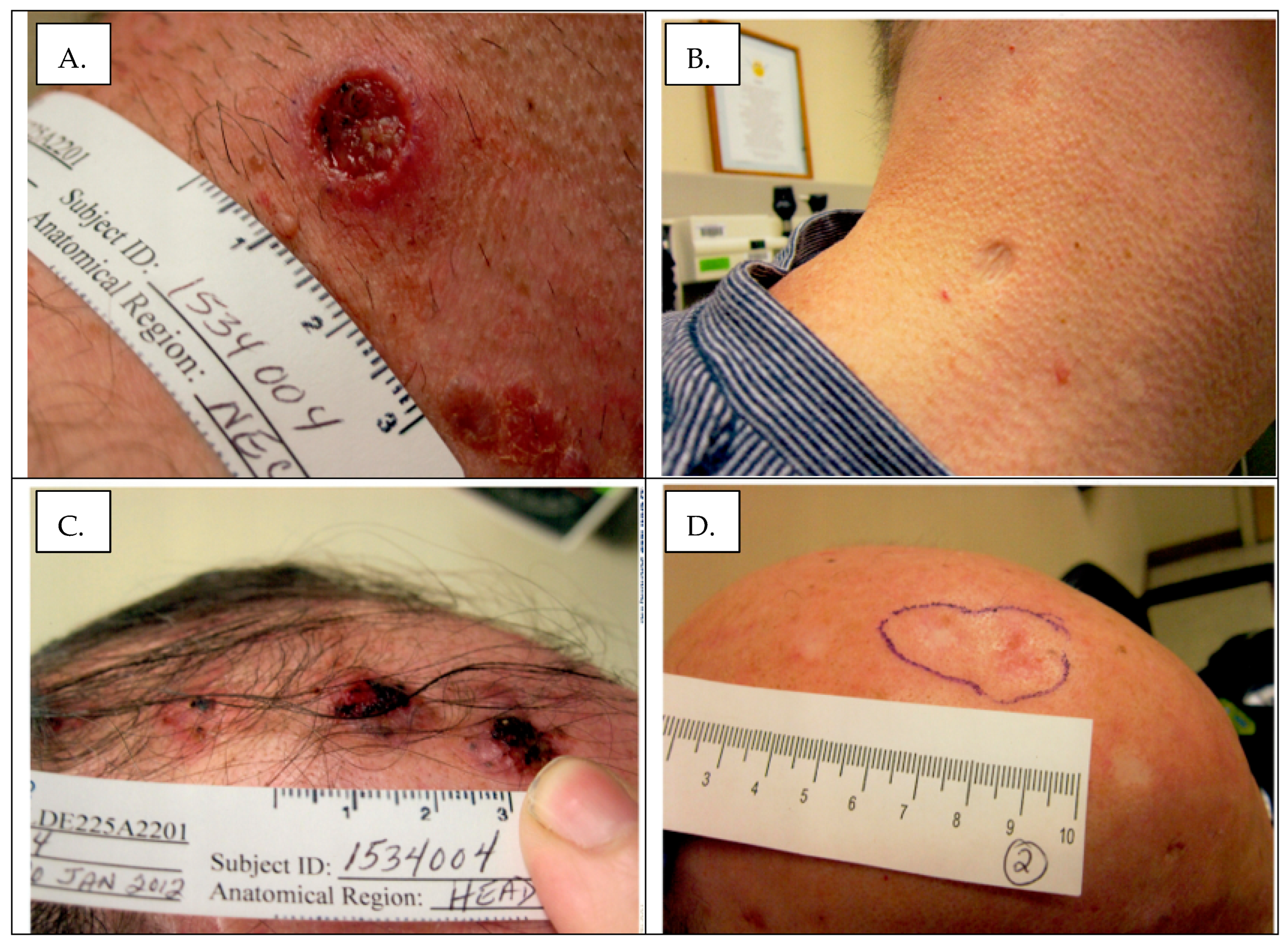 Curroncol 30 00661 g001