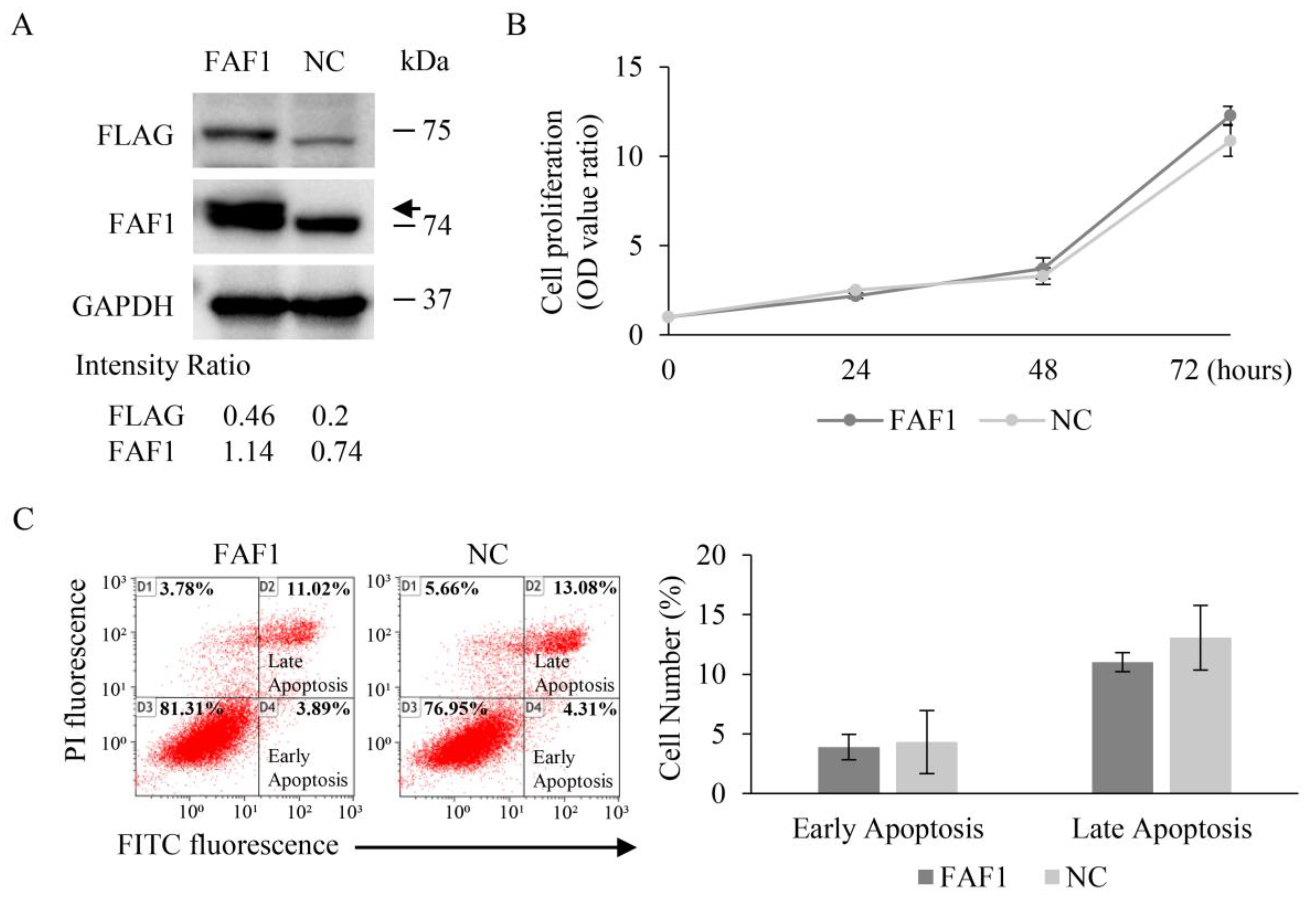 Curroncol 30 00687 g005