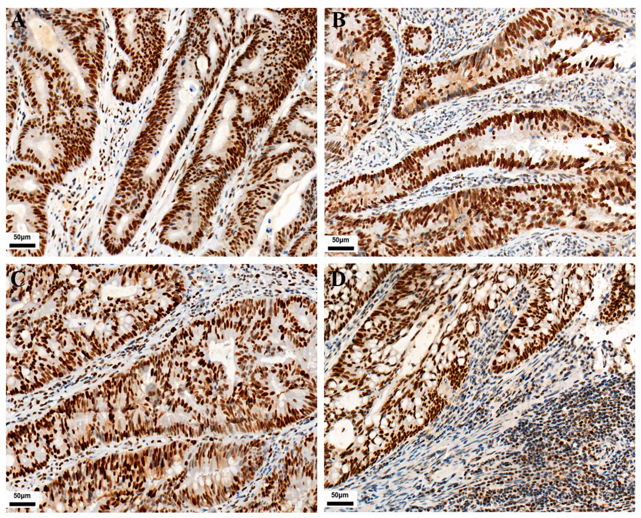 Curroncol 30 00699 g002