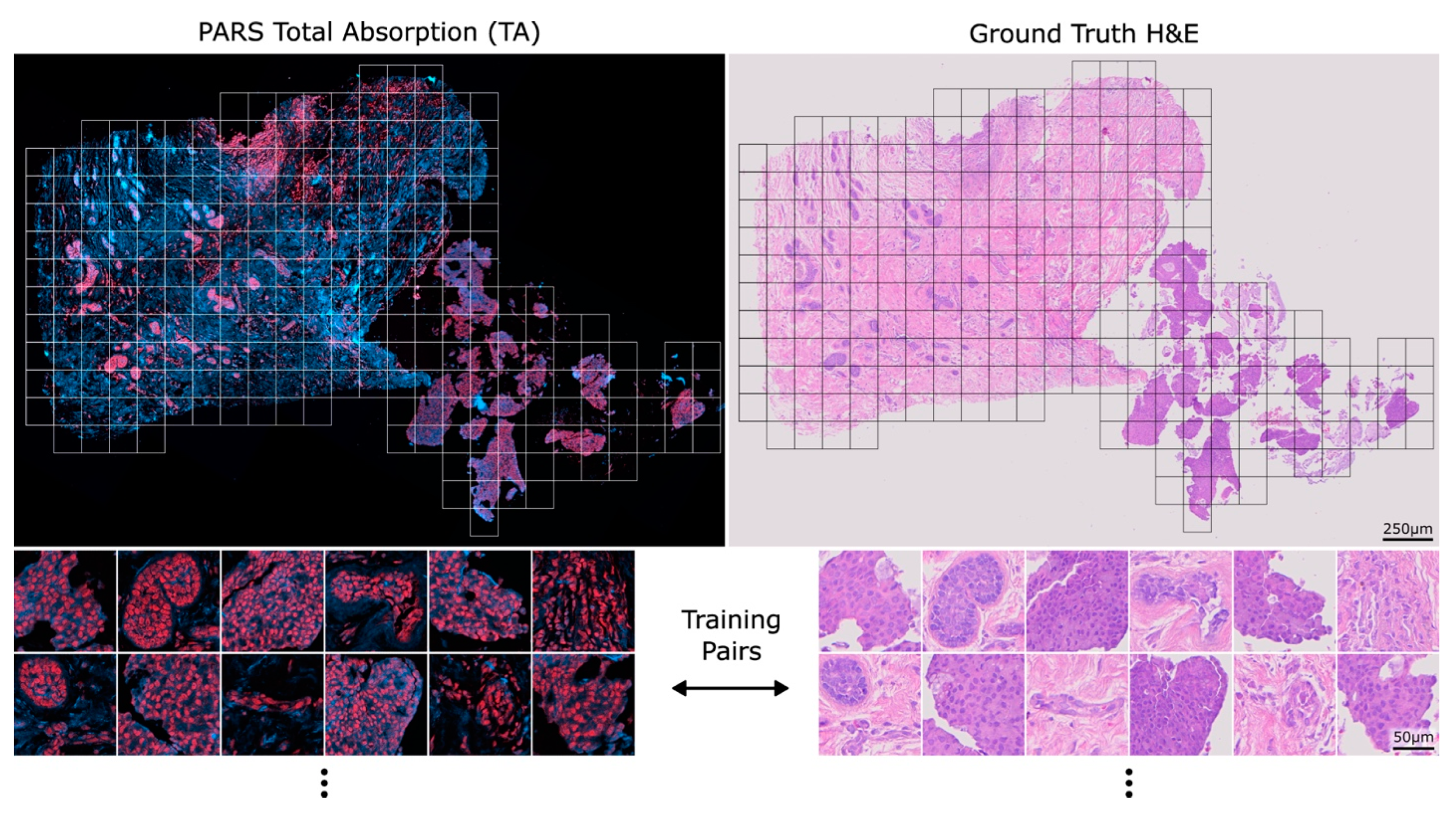 Curroncol 30 00708 g001
