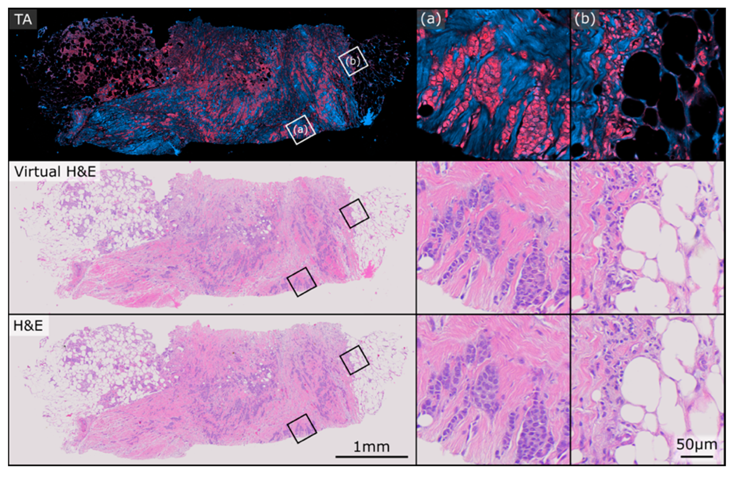 Curroncol 30 00708 g002
