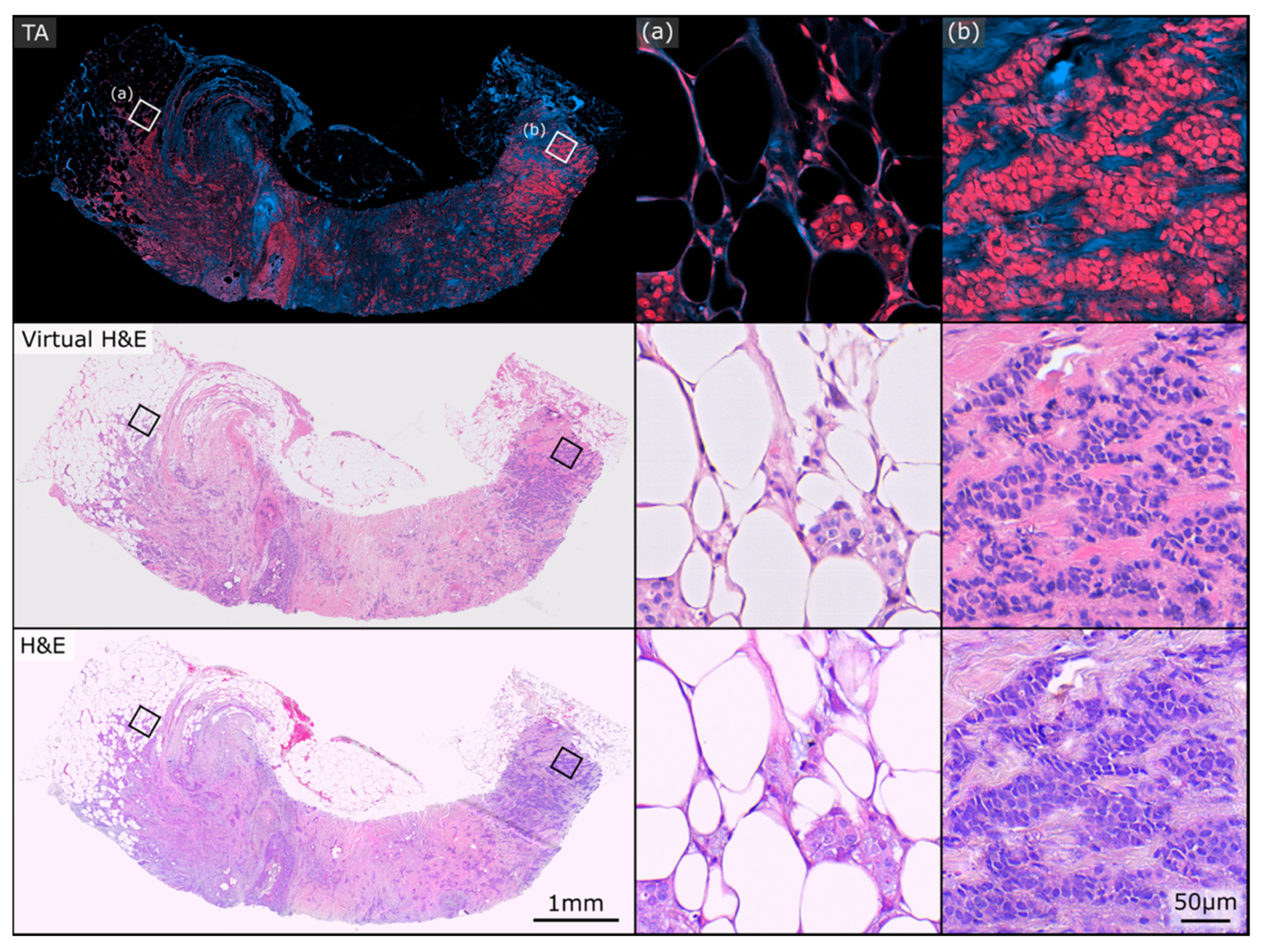 Curroncol 30 00708 g003