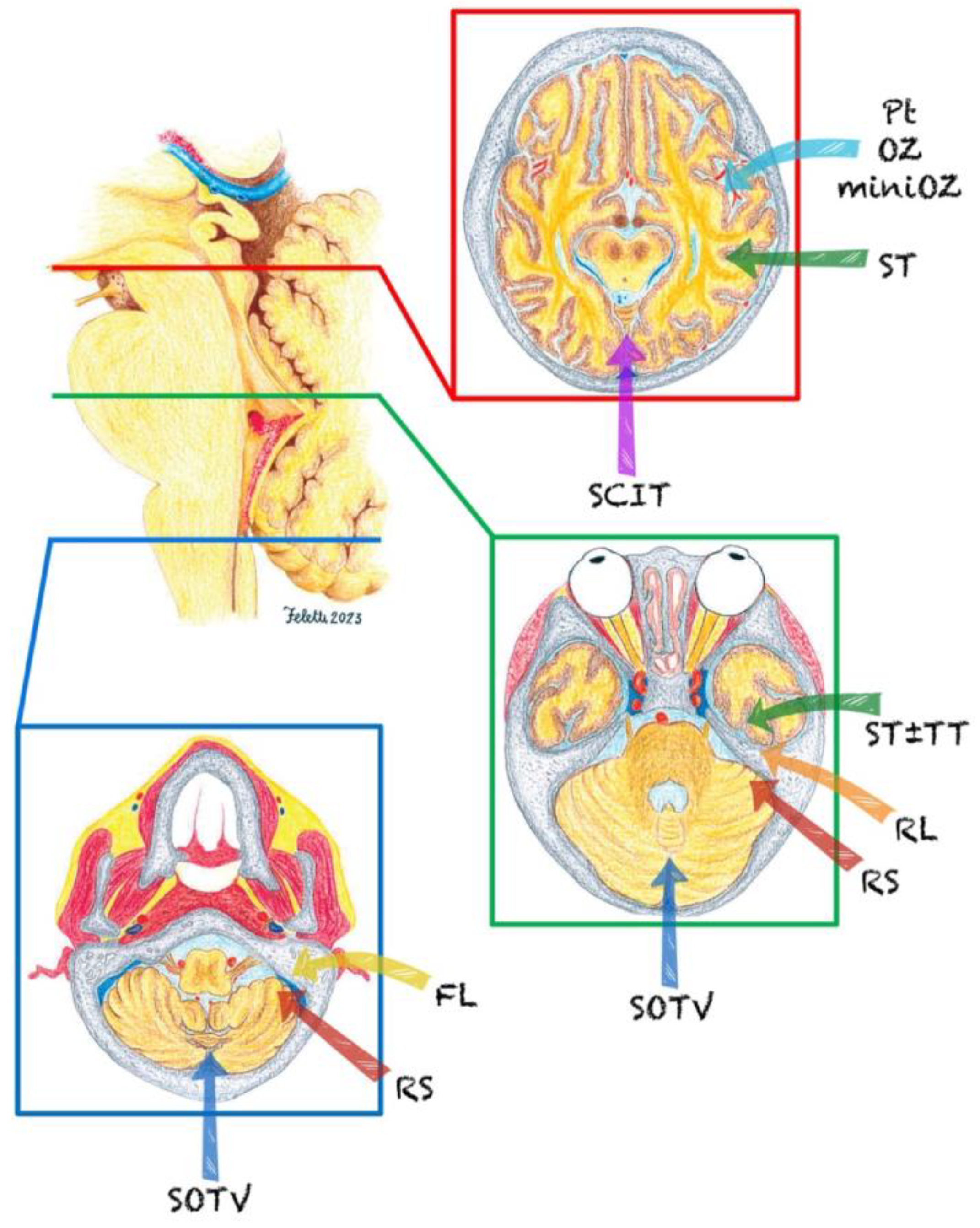 Curroncol 30 00709 g001