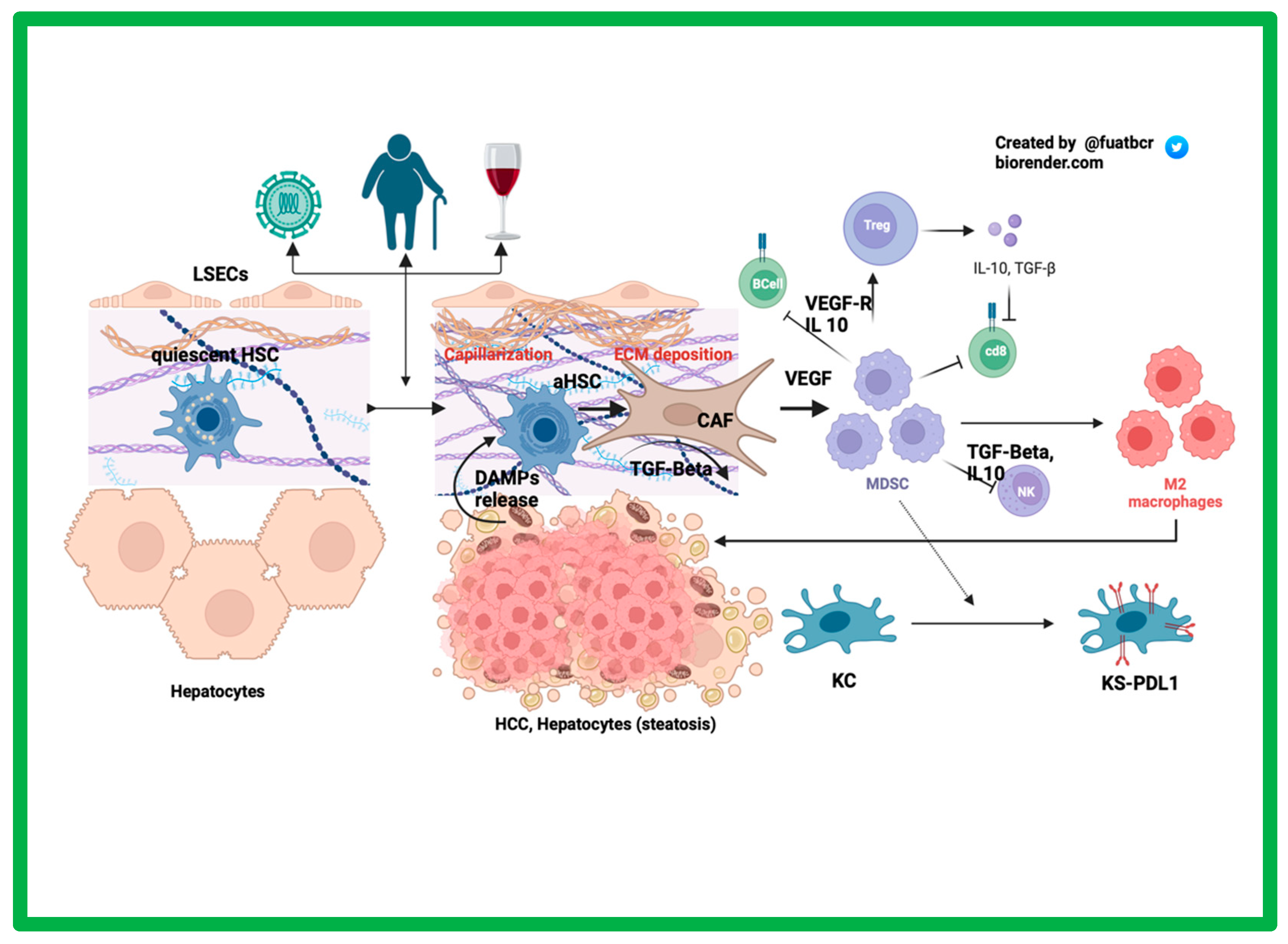 Curroncol 30 00711 g001