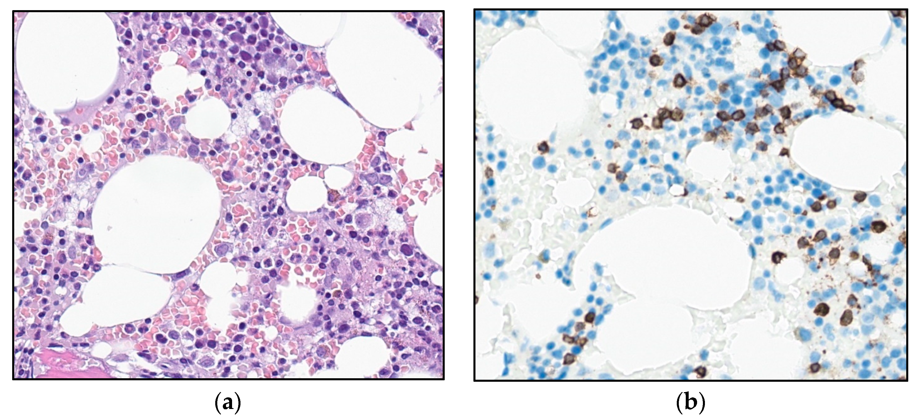 Curroncol 30 00727 g002