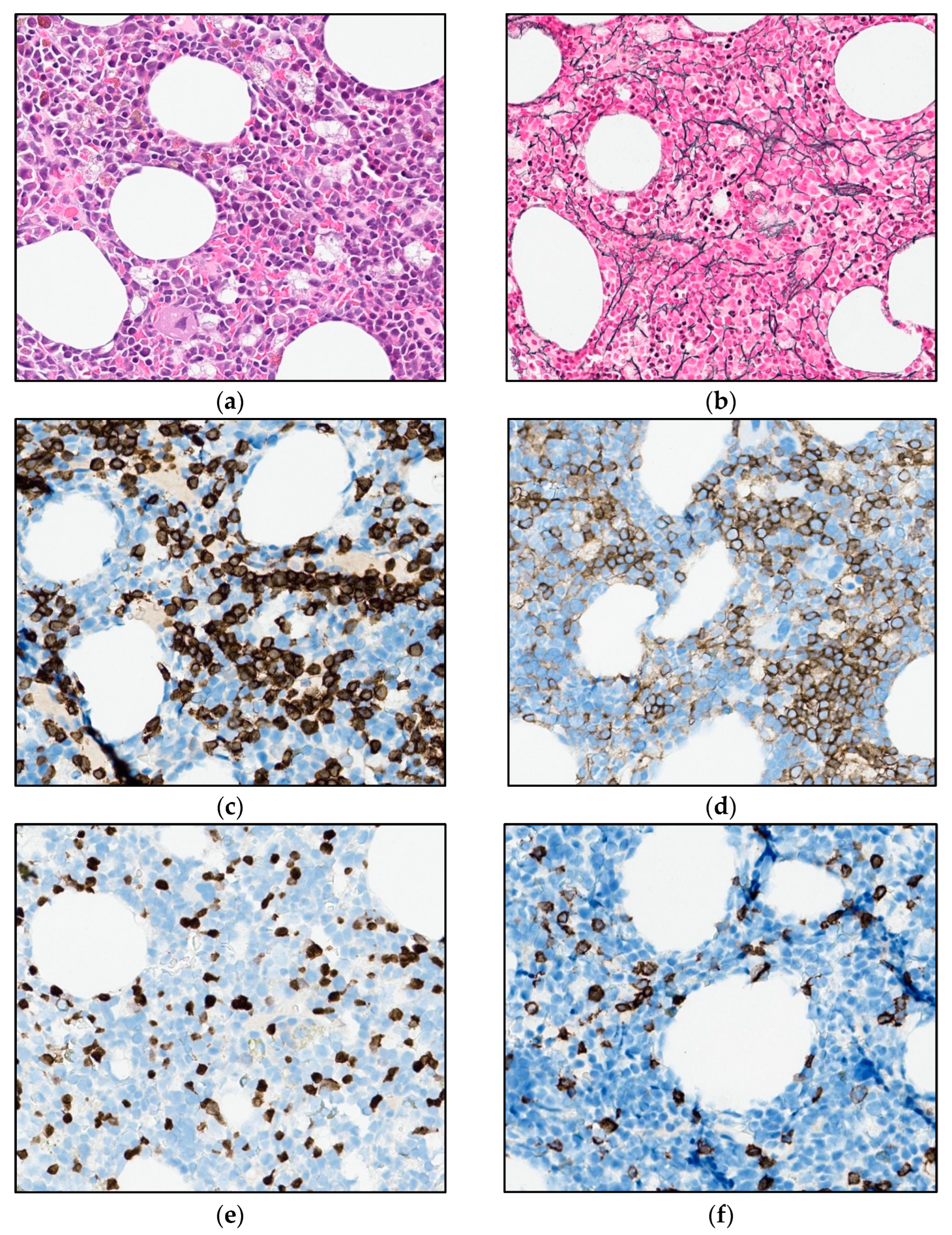 Curroncol 30 00727 g005