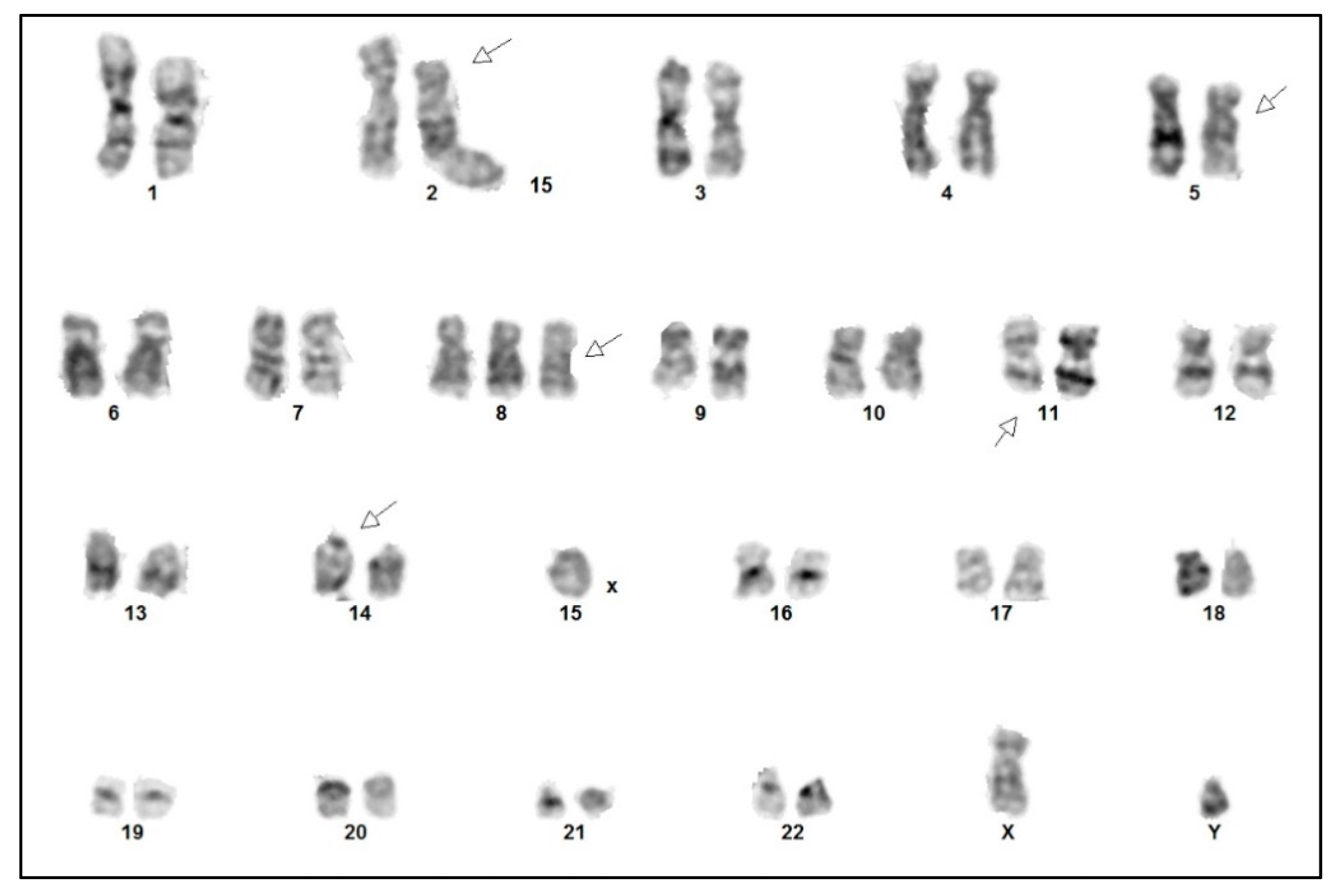 Curroncol 30 00727 g006