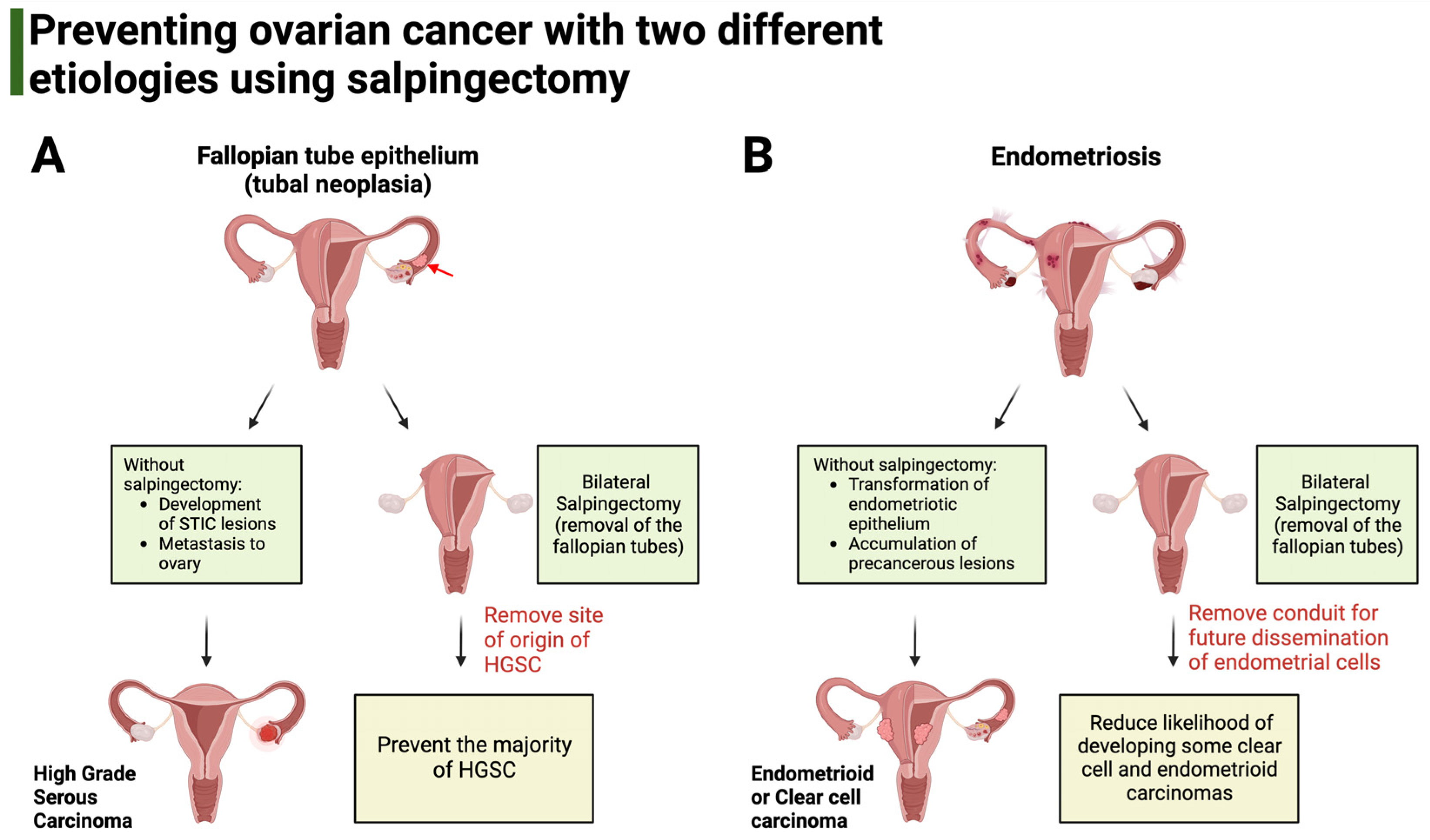 Curroncol 30 00741 g001