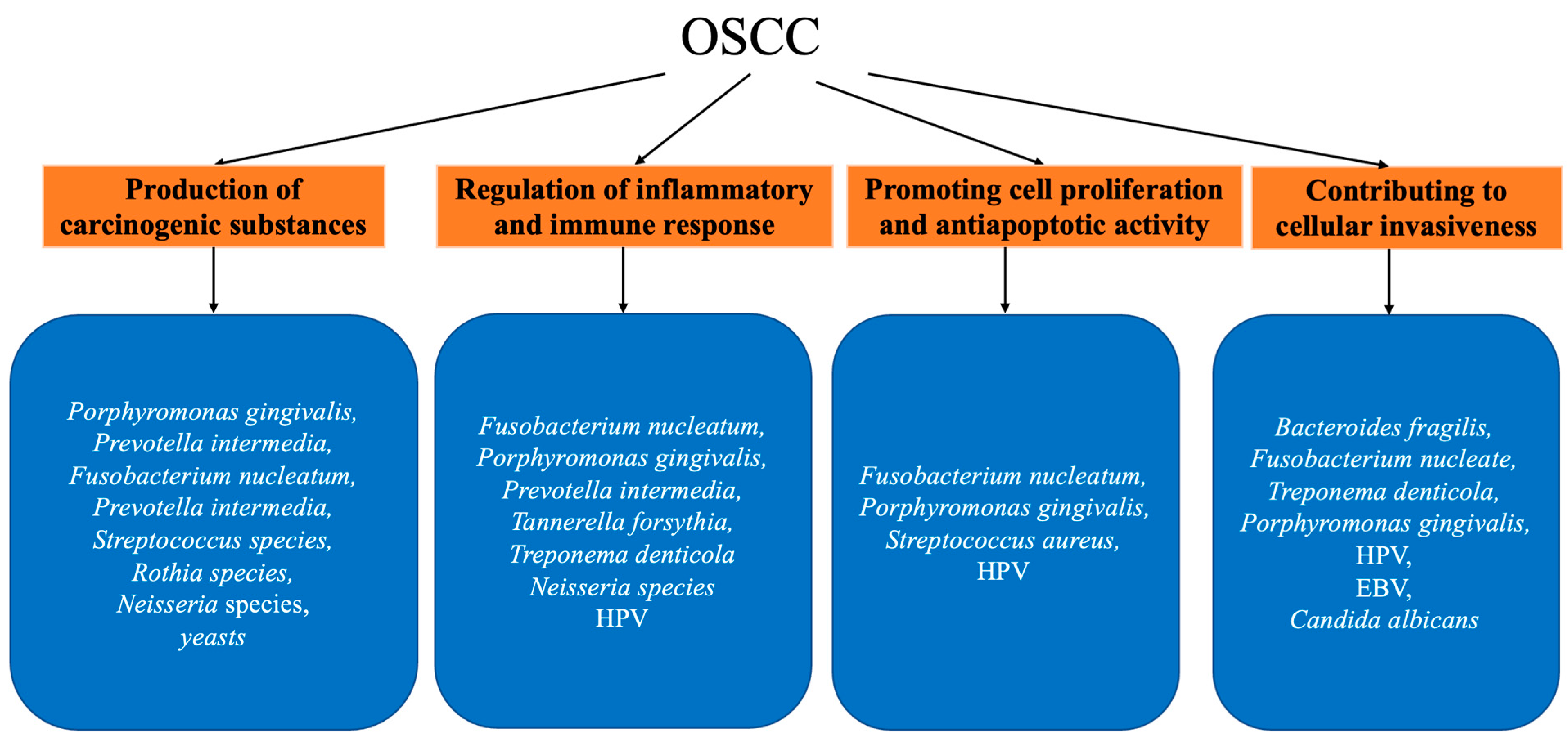 Curroncol 31 00011 g001