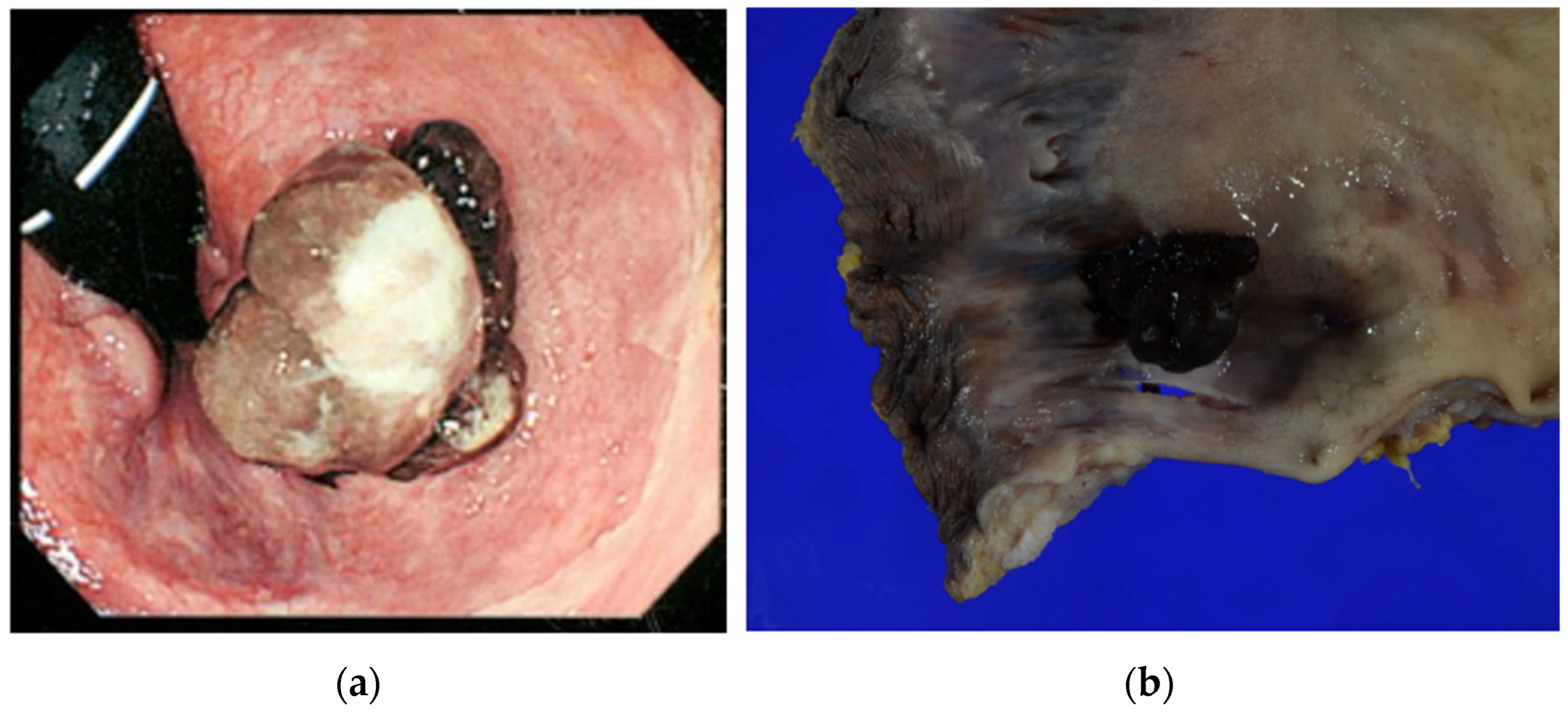 Curroncol 31 00013 g001