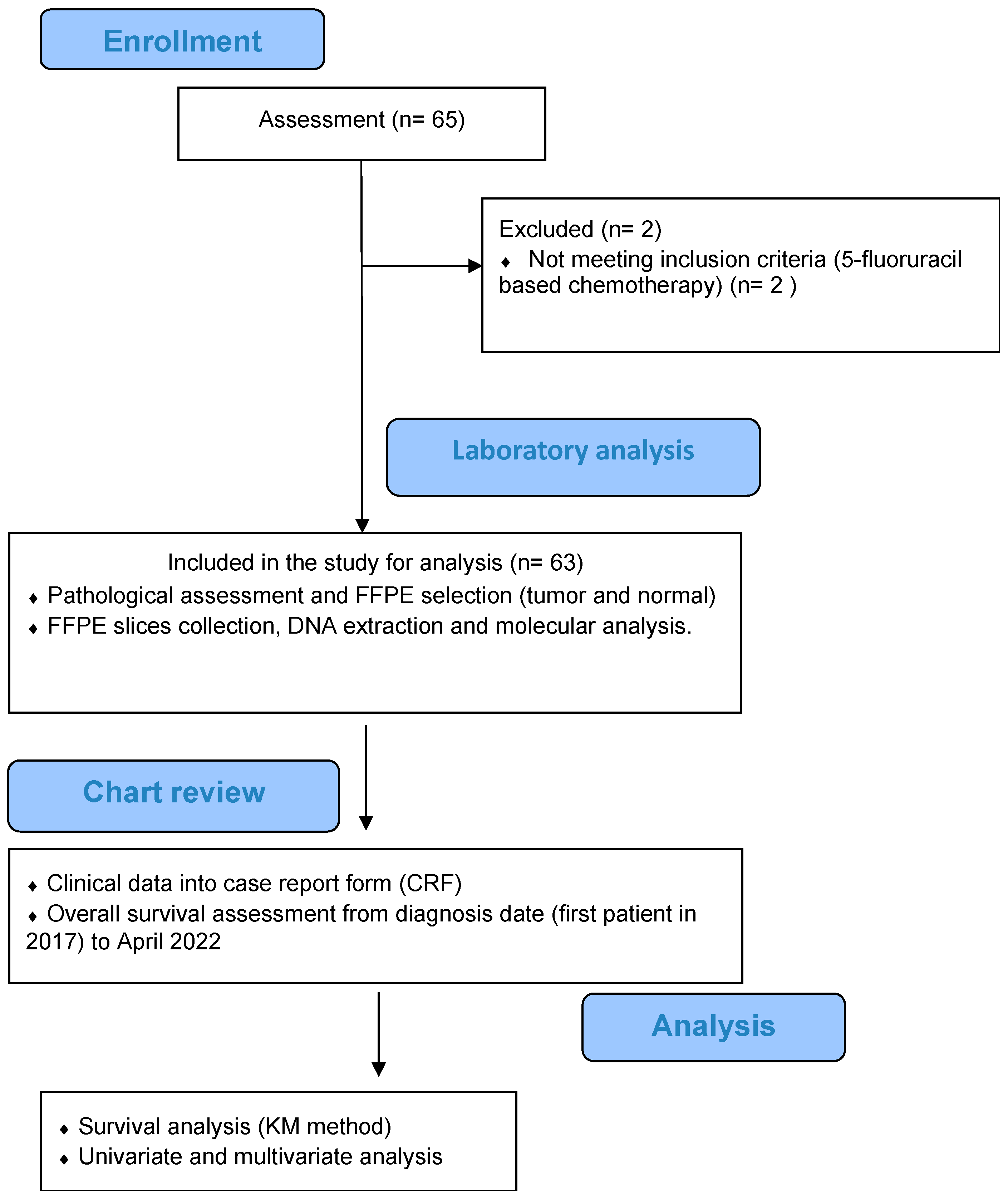 Curroncol 31 00018 g001
