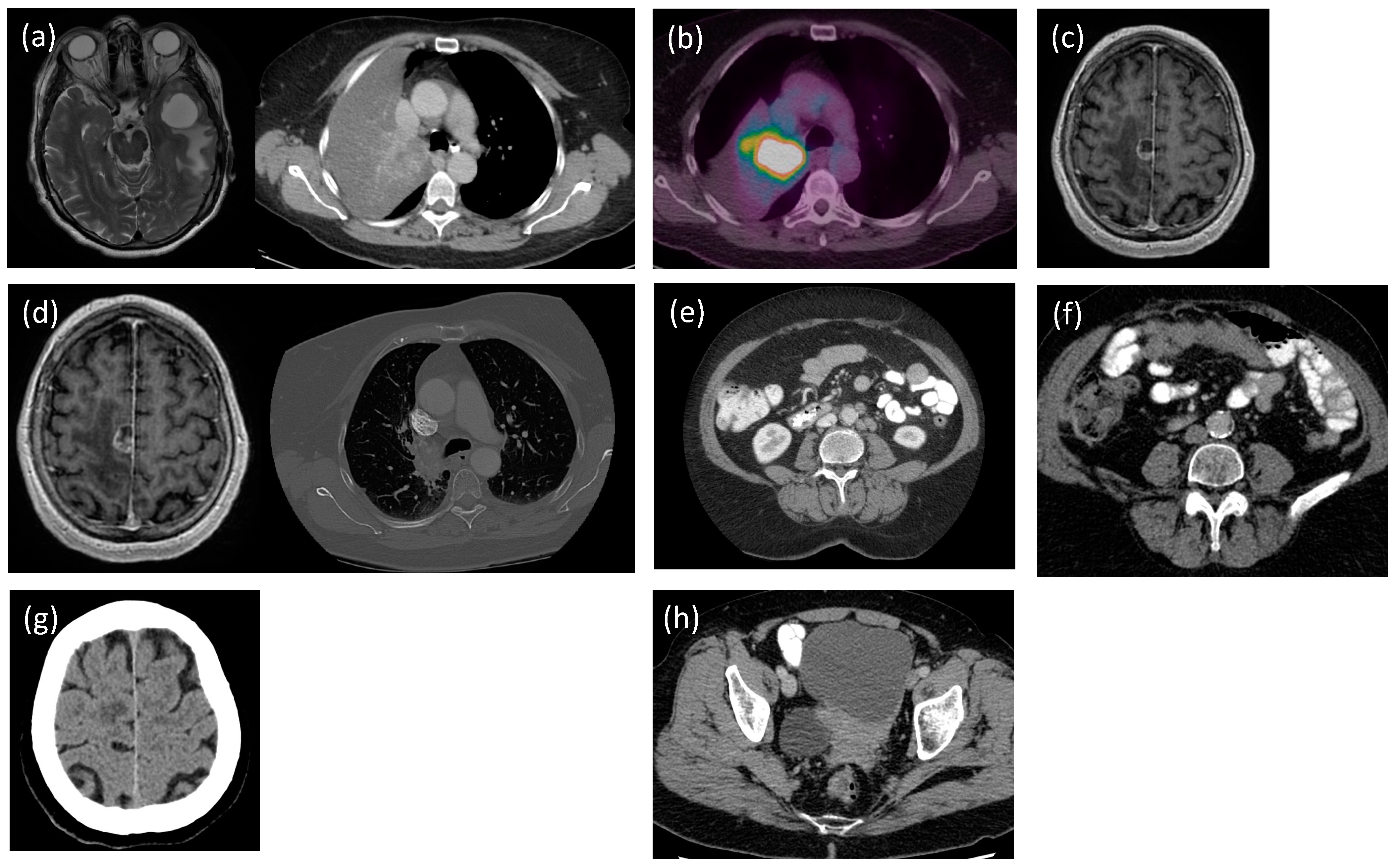 Curroncol 31 00039 g001