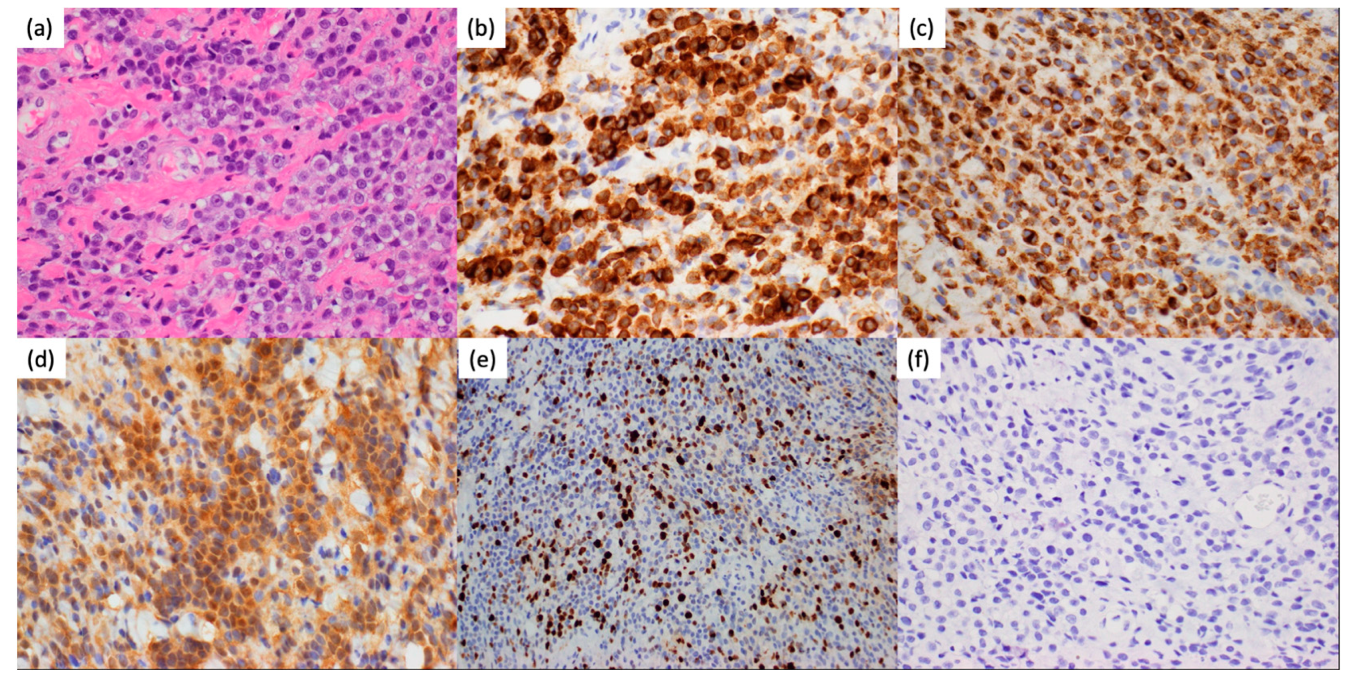 Curroncol 31 00041 g002 Curroncol 31 00041 g002