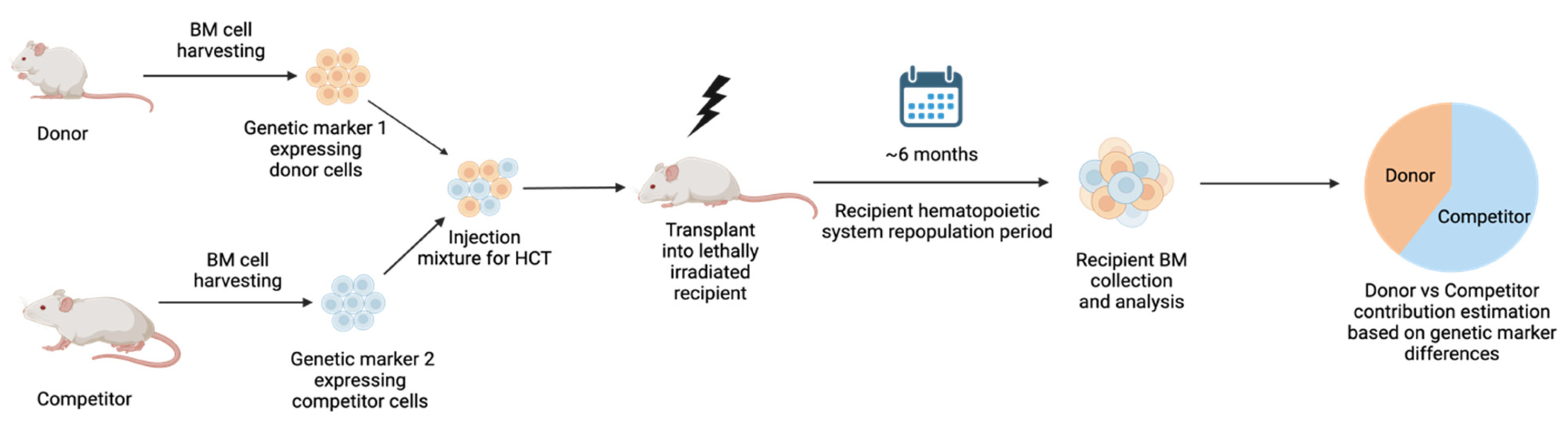 Curroncol 31 00044 g002 Curroncol 31 00044 g002