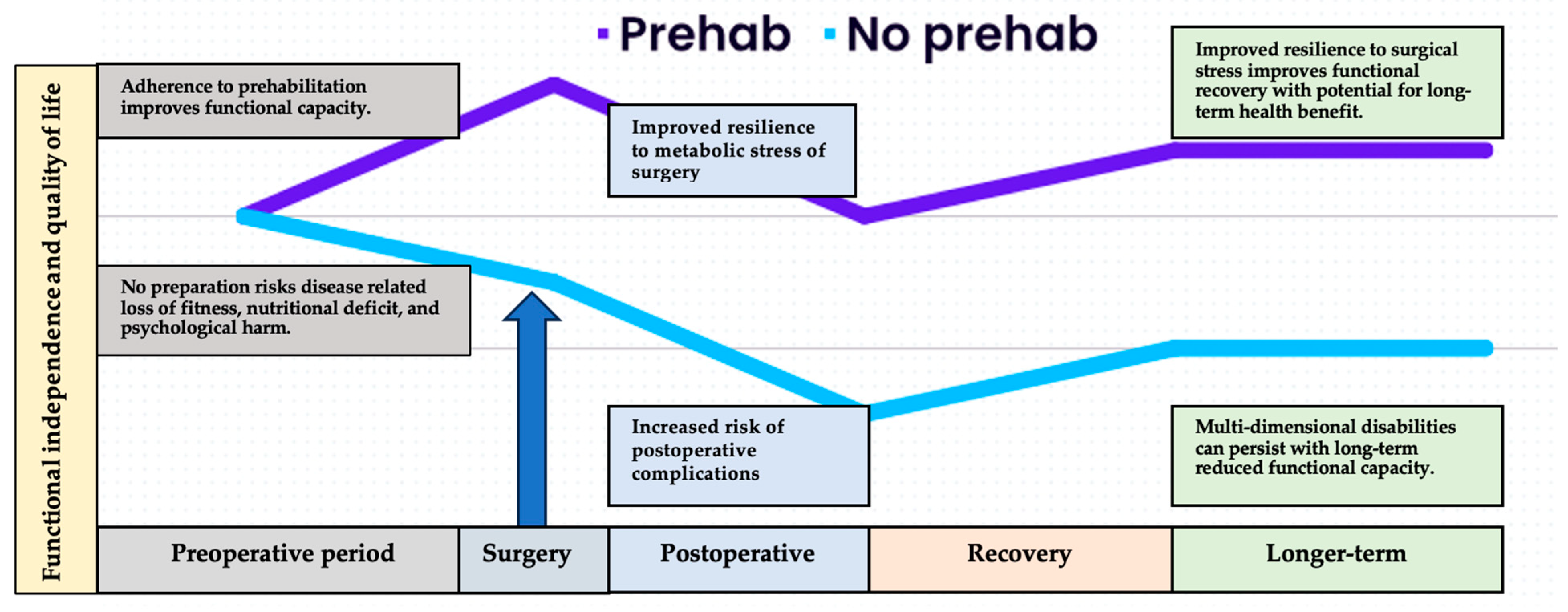 Curroncol 31 00046 g001