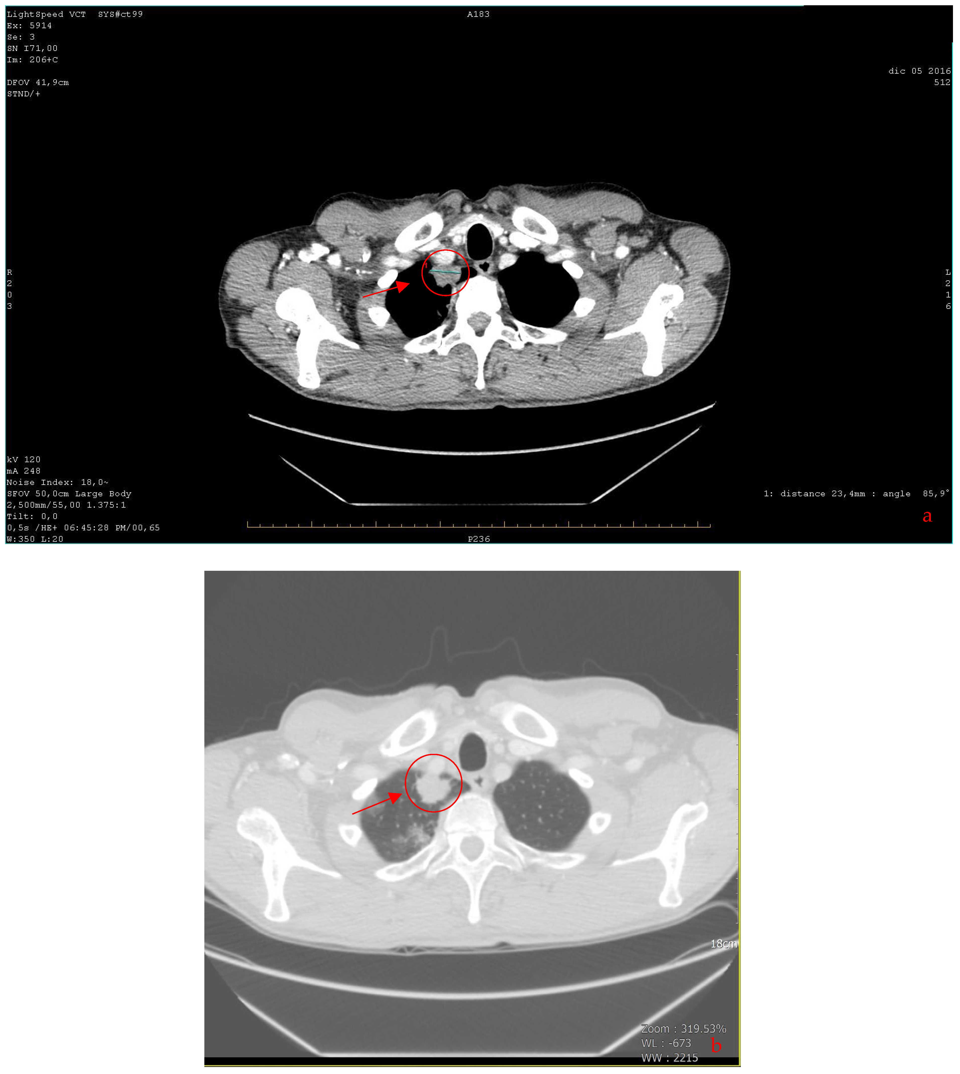 Curroncol 31 00053 g002