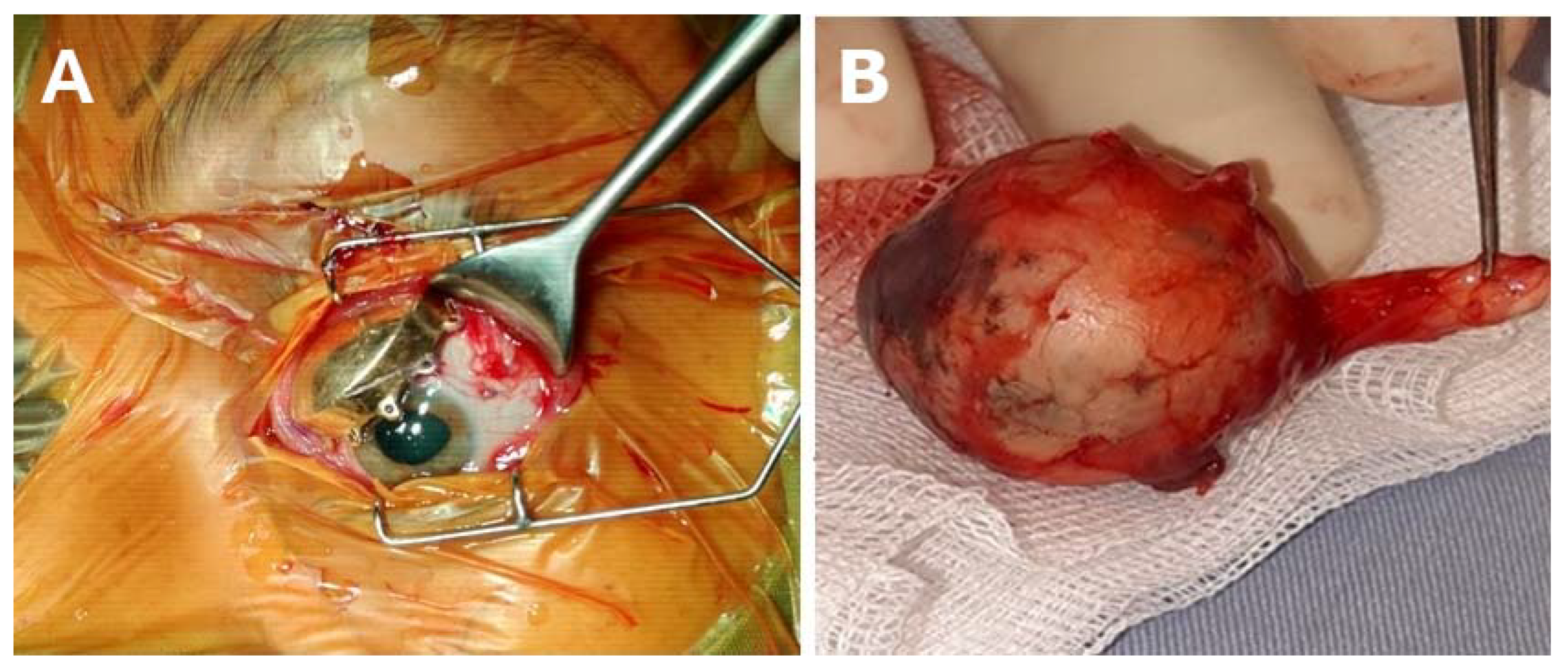 Curroncol 31 00058 g001