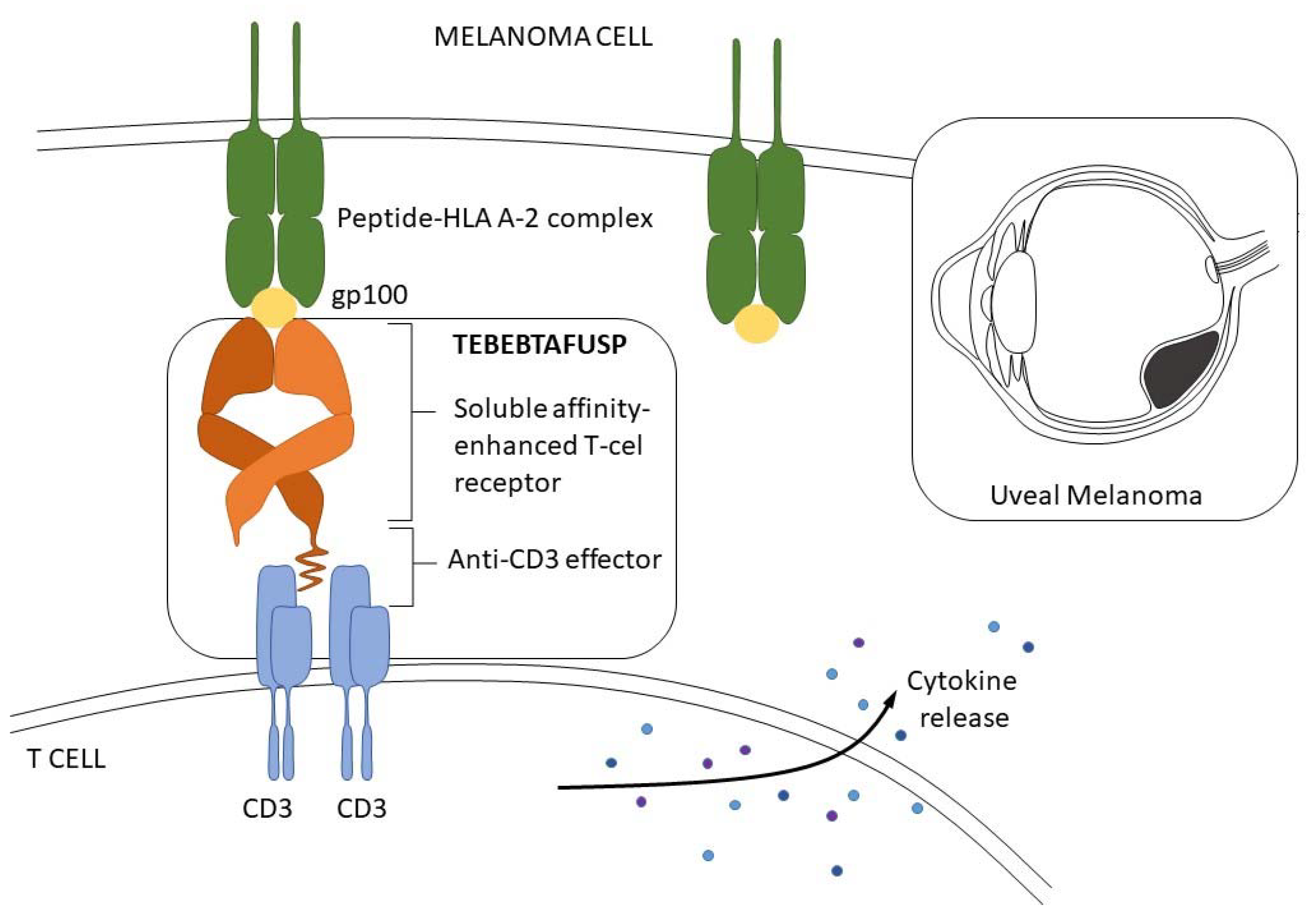 Curroncol 31 00058 g004