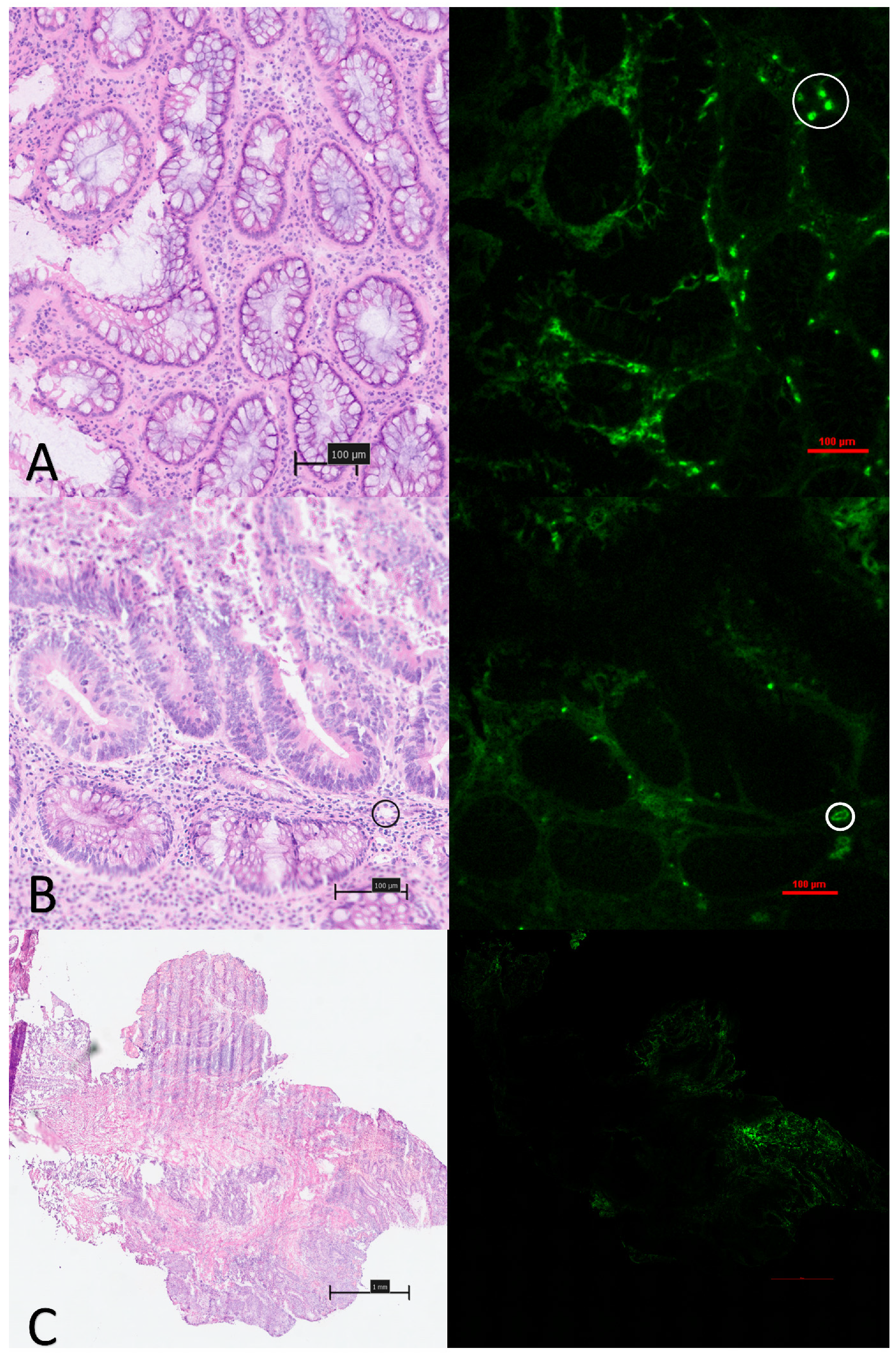 Curroncol 31 00063 g003