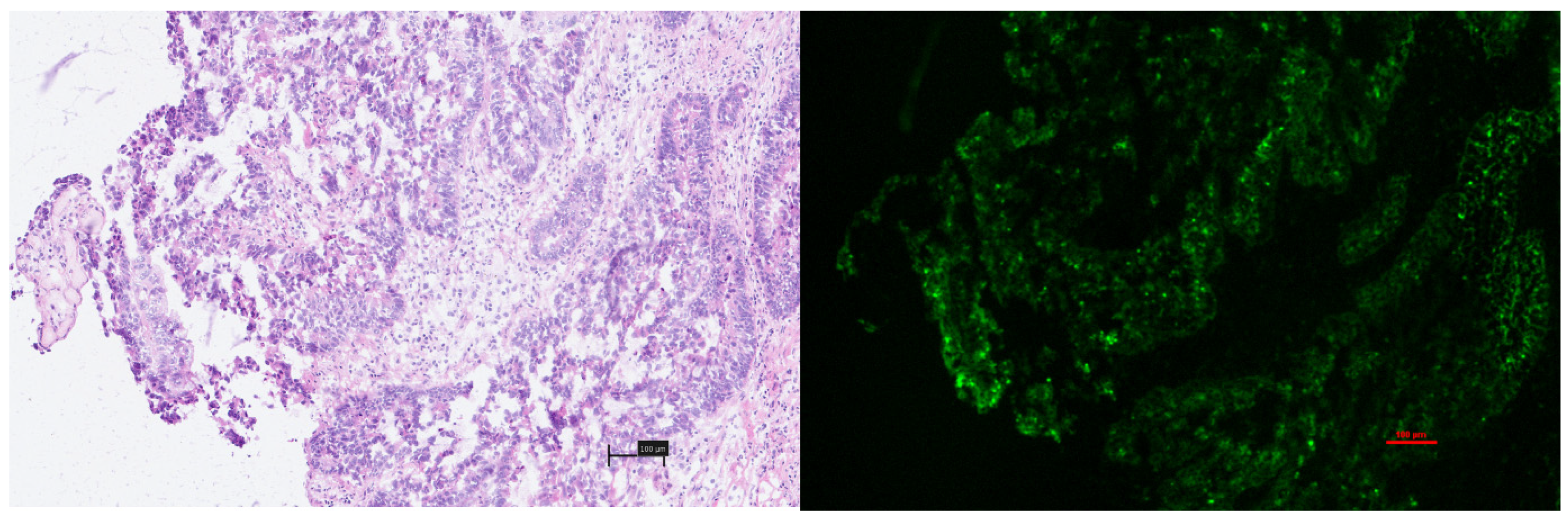 Curroncol 31 00063 g004