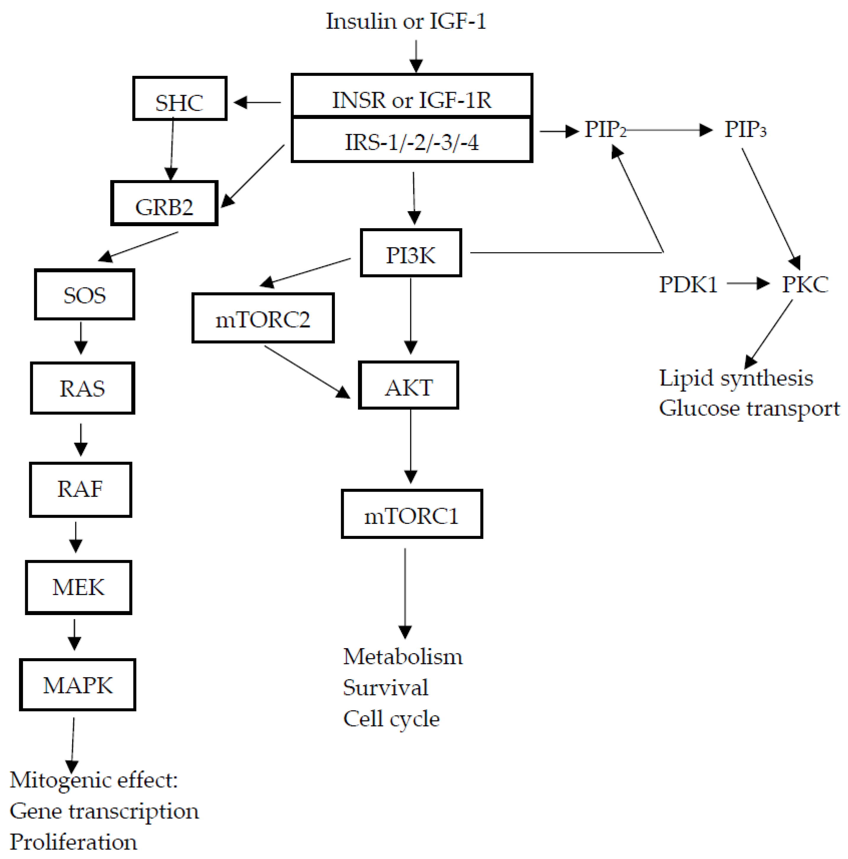 Curroncol 31 00075 g001