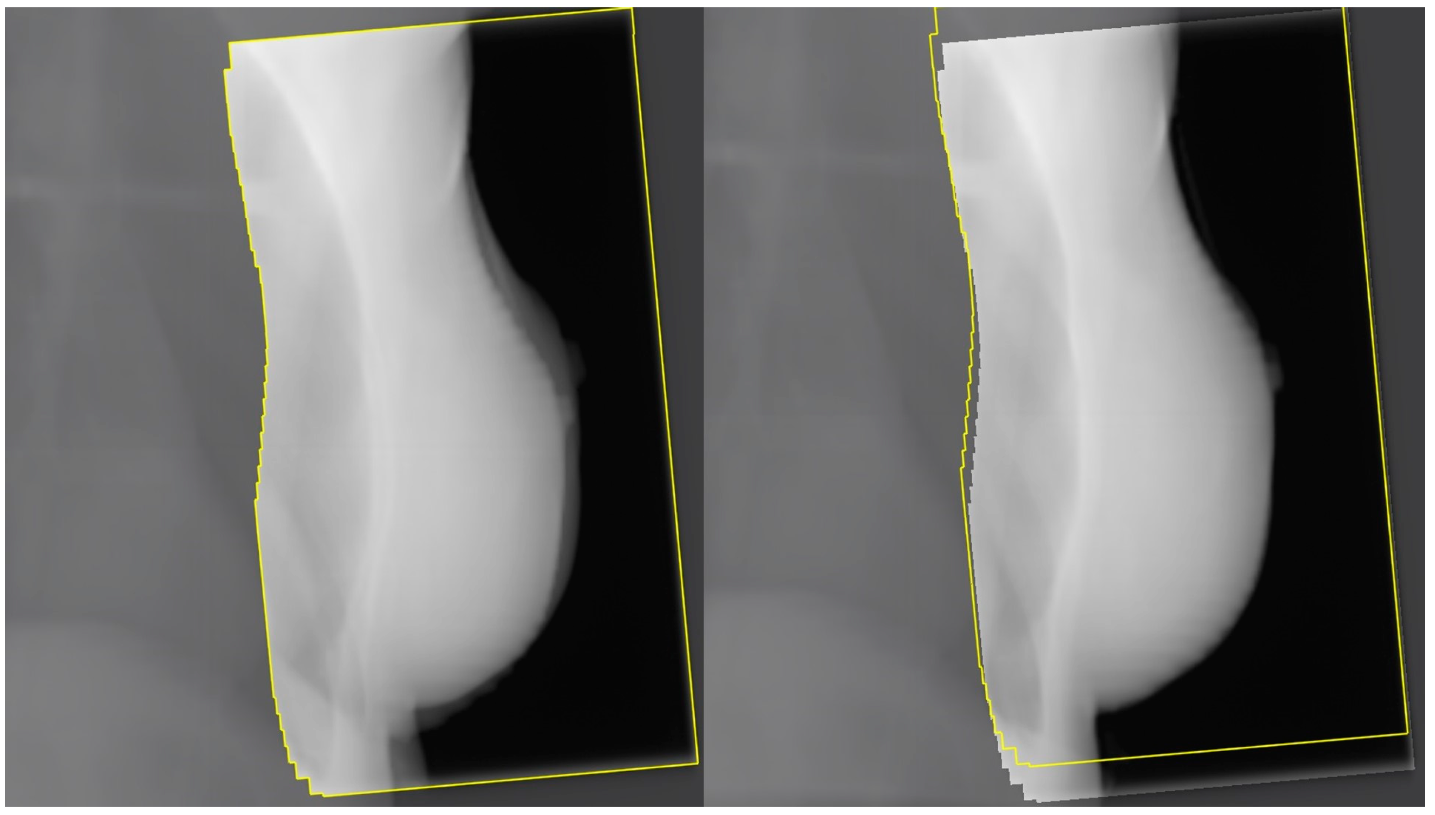 Curroncol 31 00090 g002