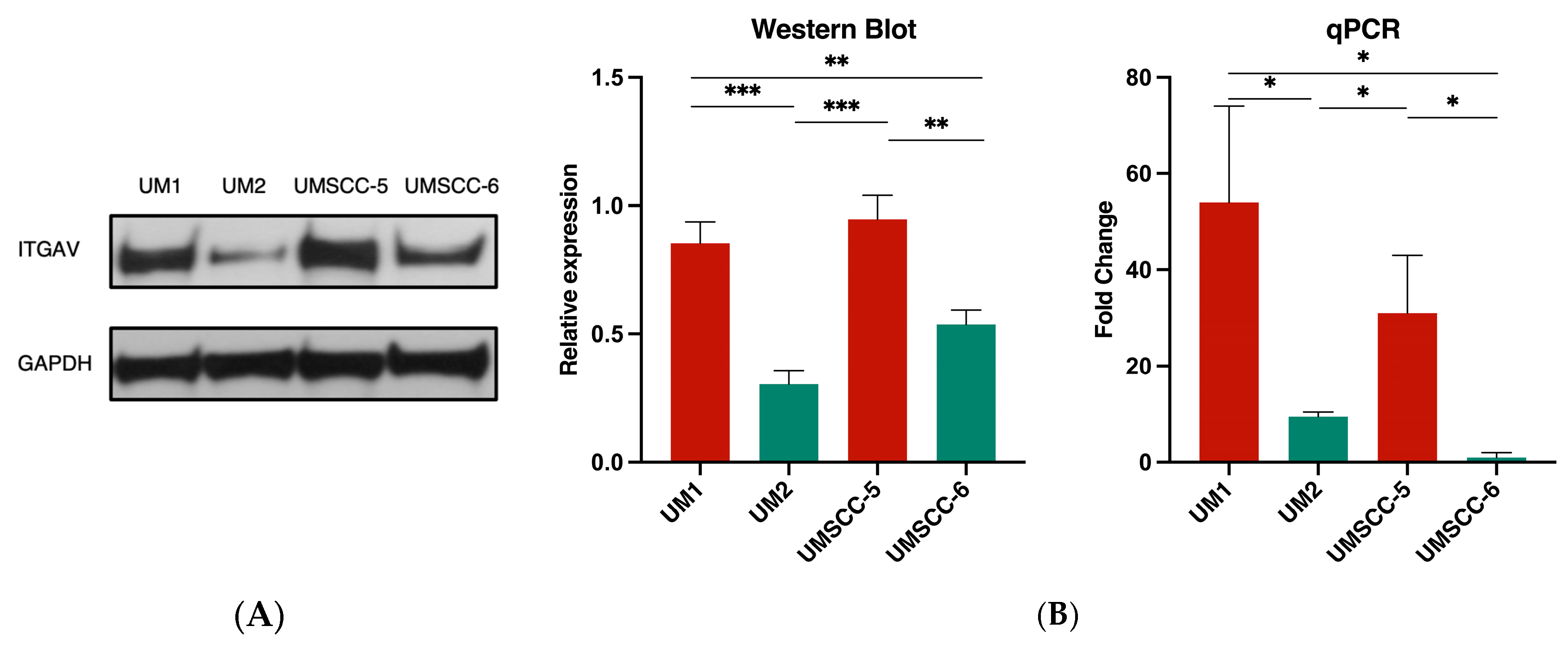 Curroncol 31 00099 g003