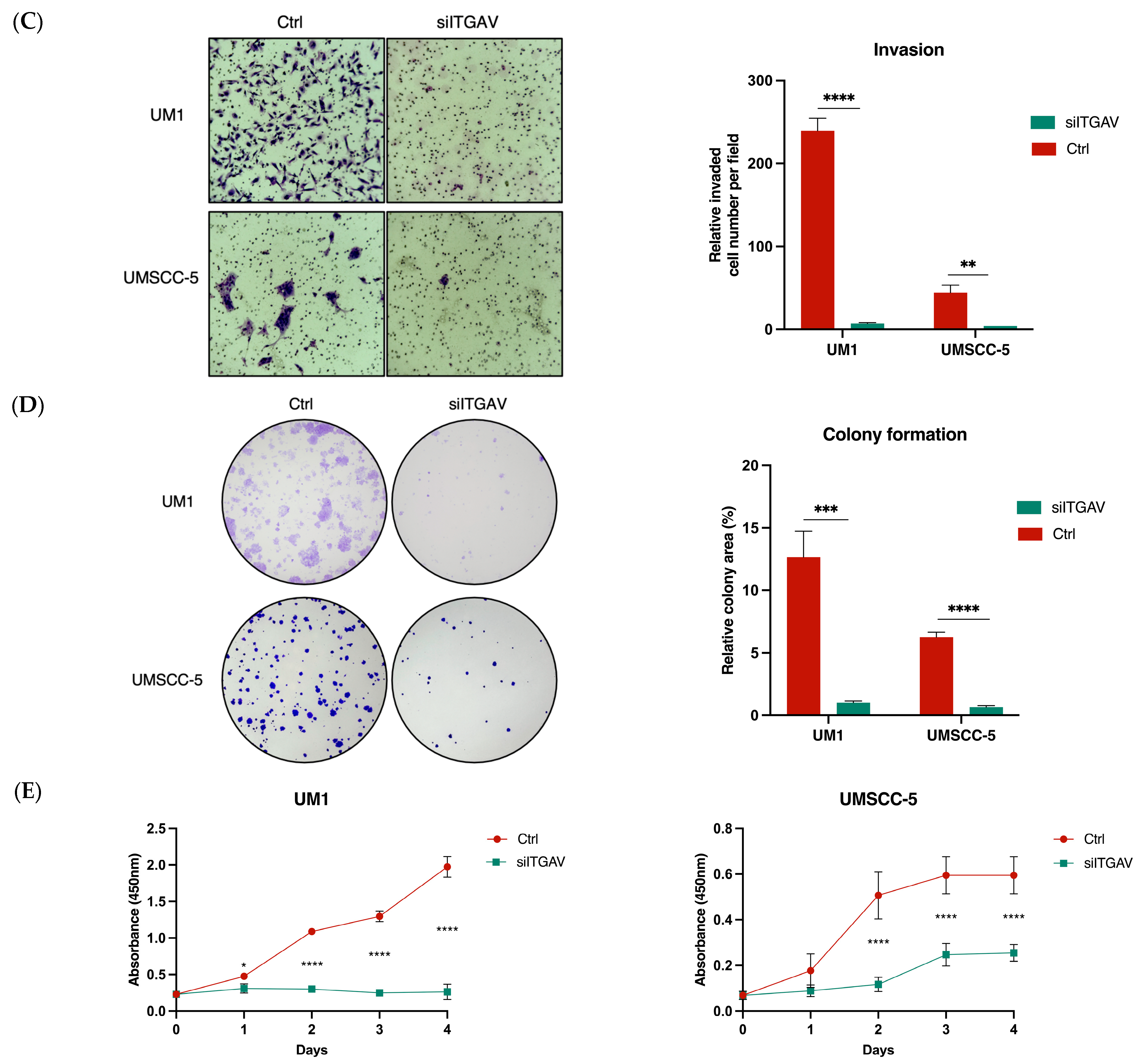 Curroncol 31 00099 g004b