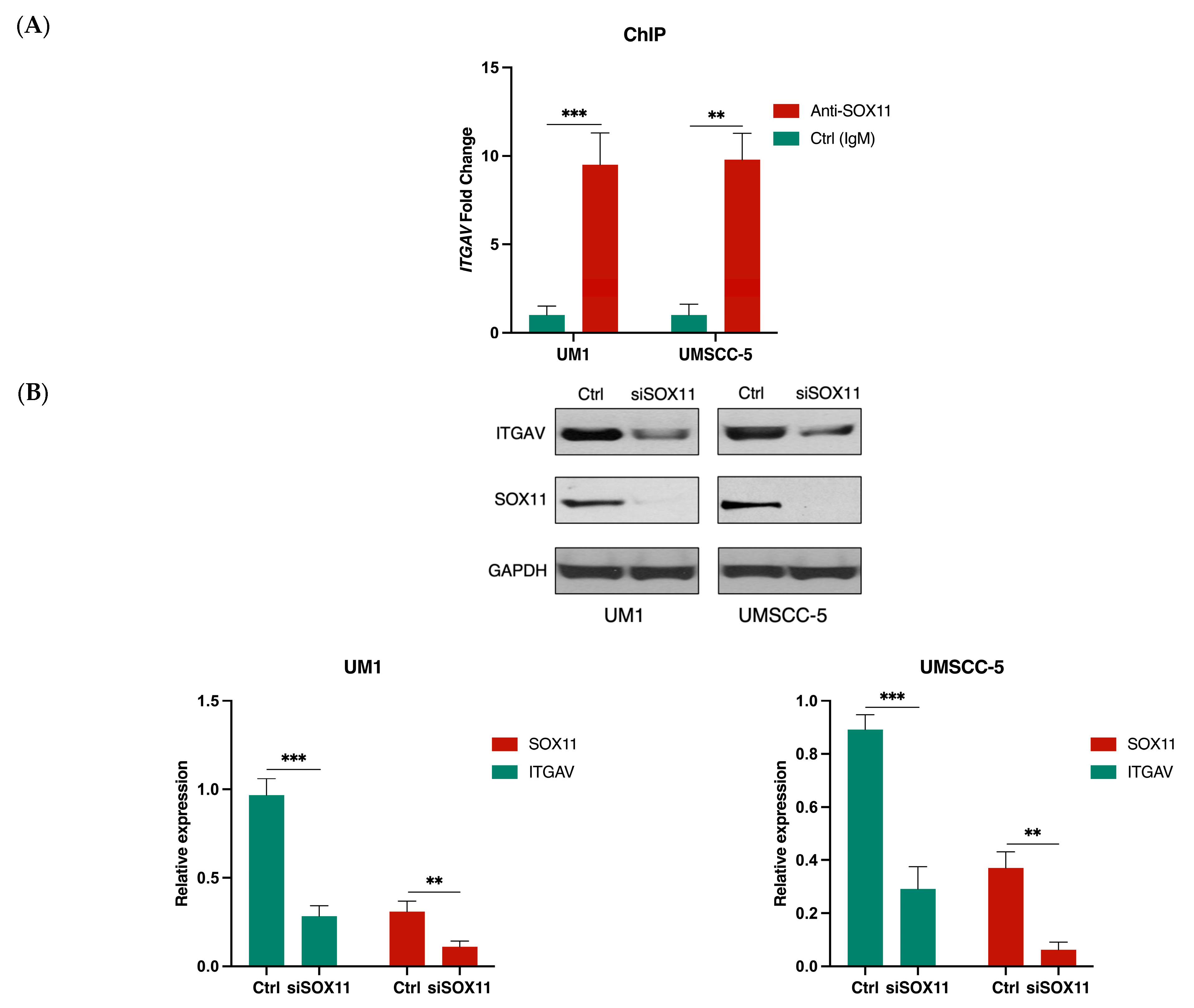 Curroncol 31 00099 g005