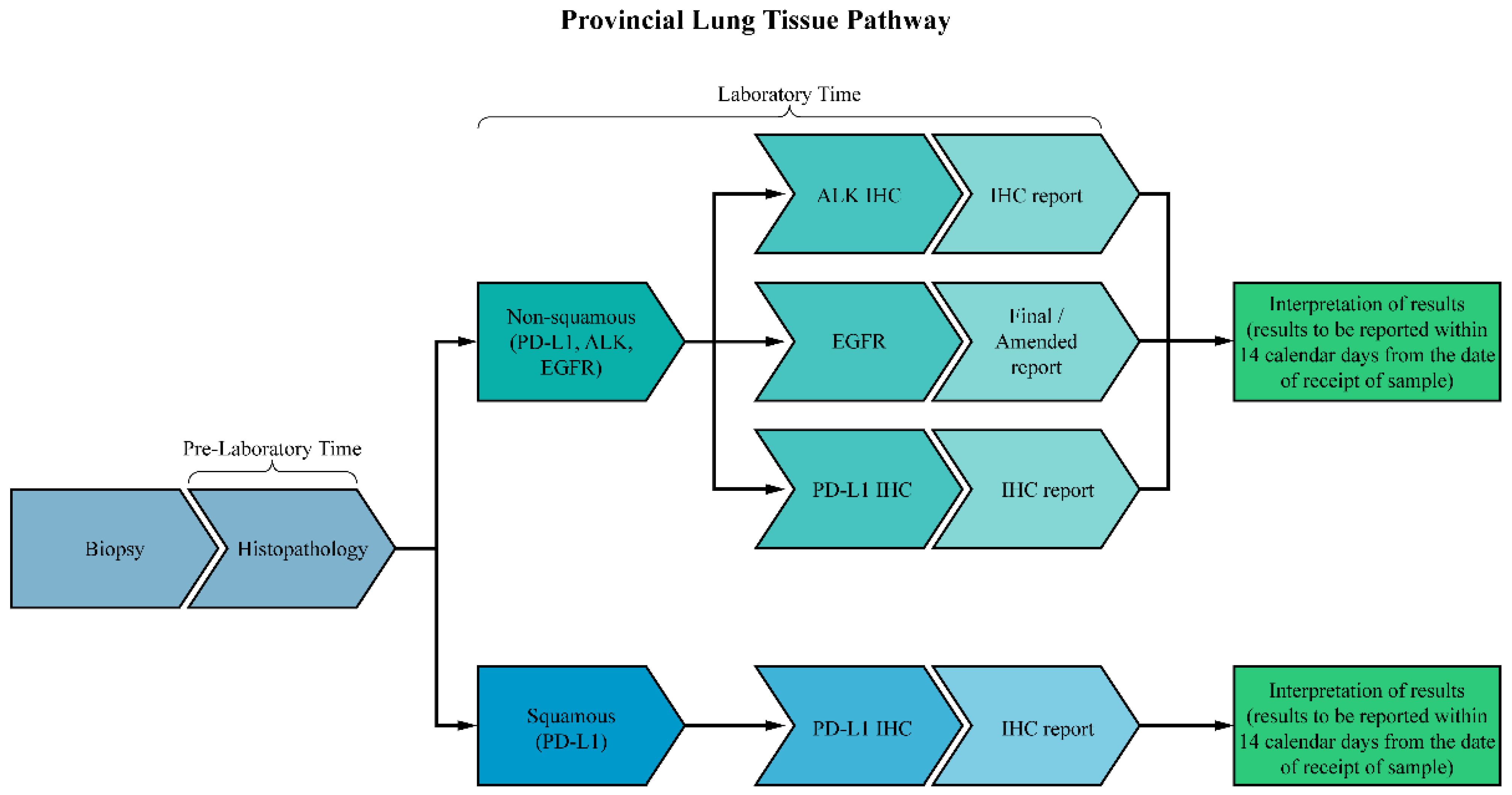 Curroncol 31 00115 g001 Curroncol 31 00115 g001