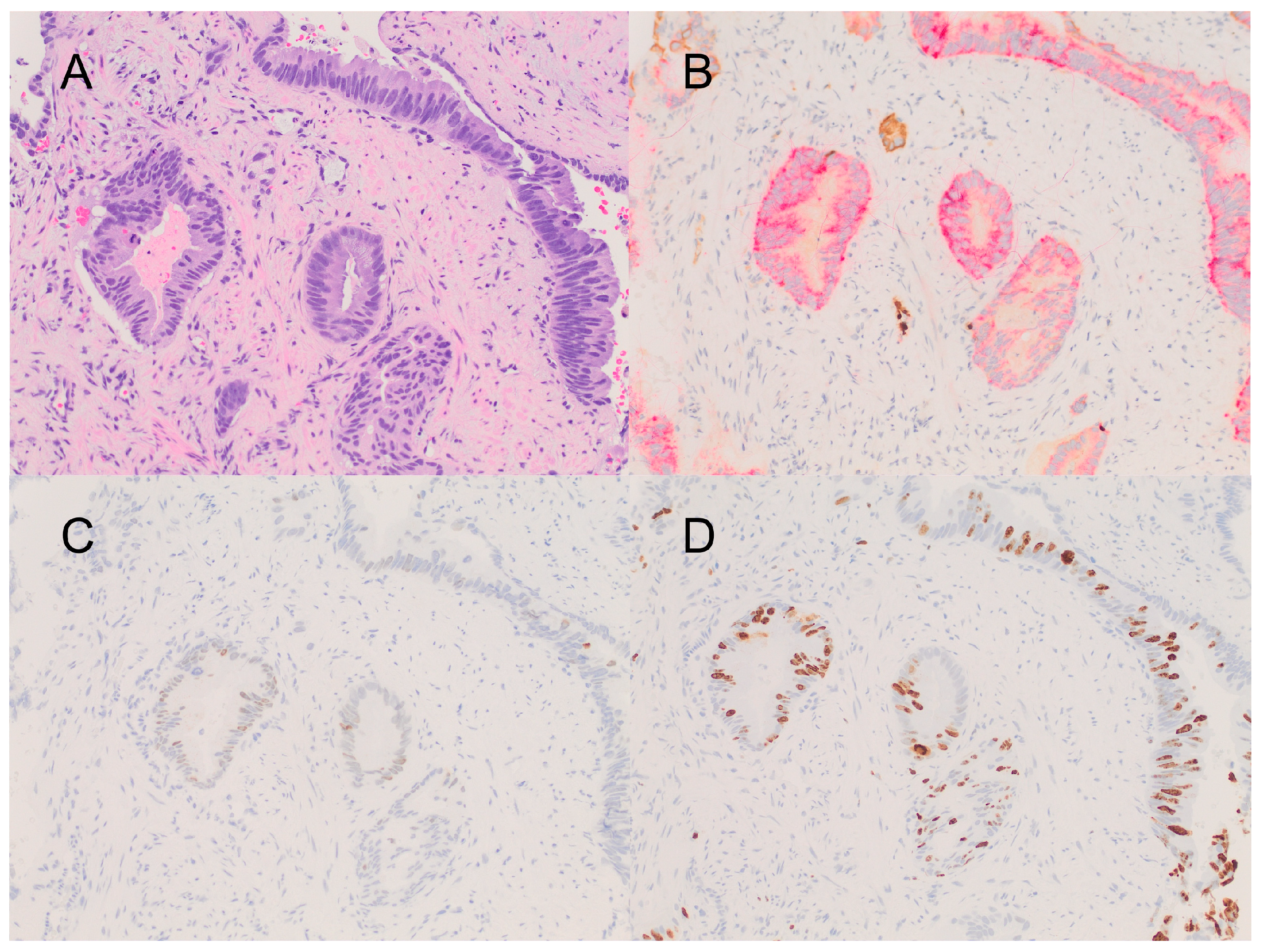 Curroncol 31 00118 g001