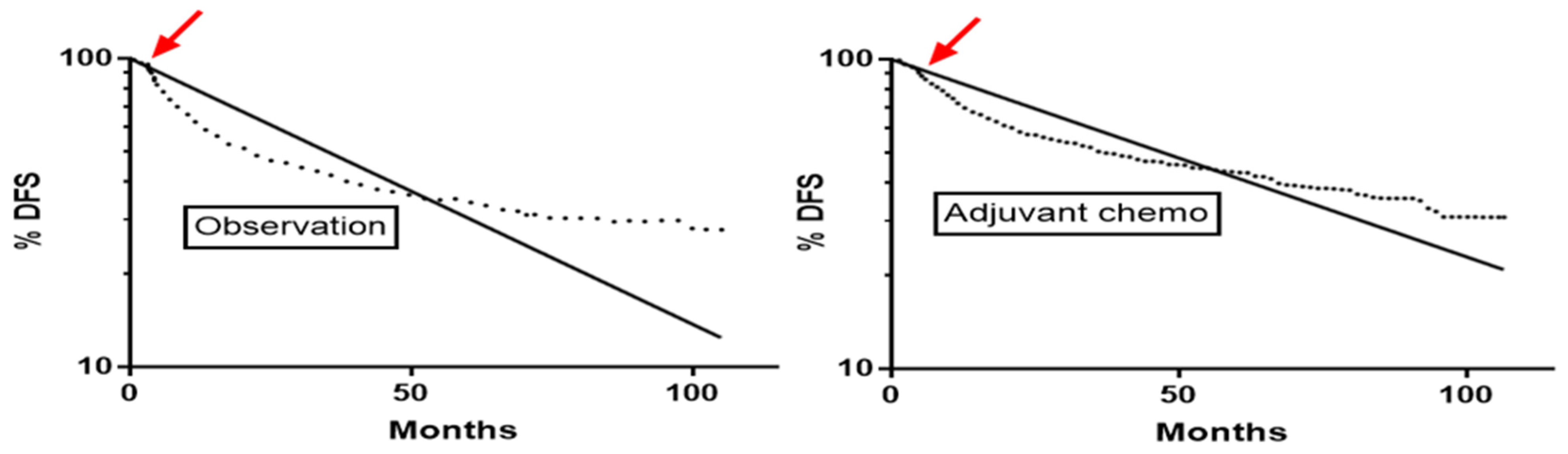 Curroncol 31 00122 g001 Curroncol 31 00122 g001