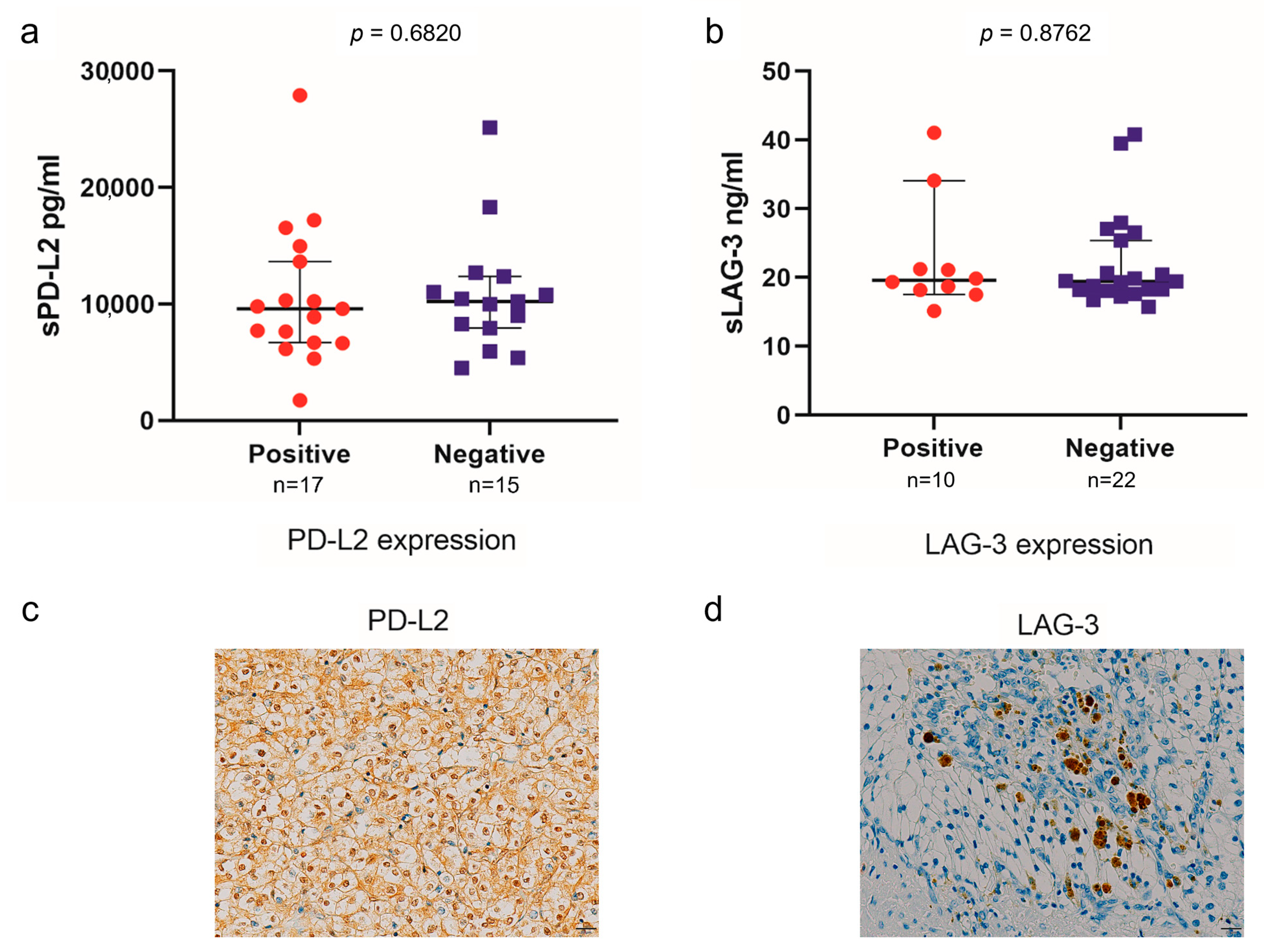 Curroncol 31 00129 g003