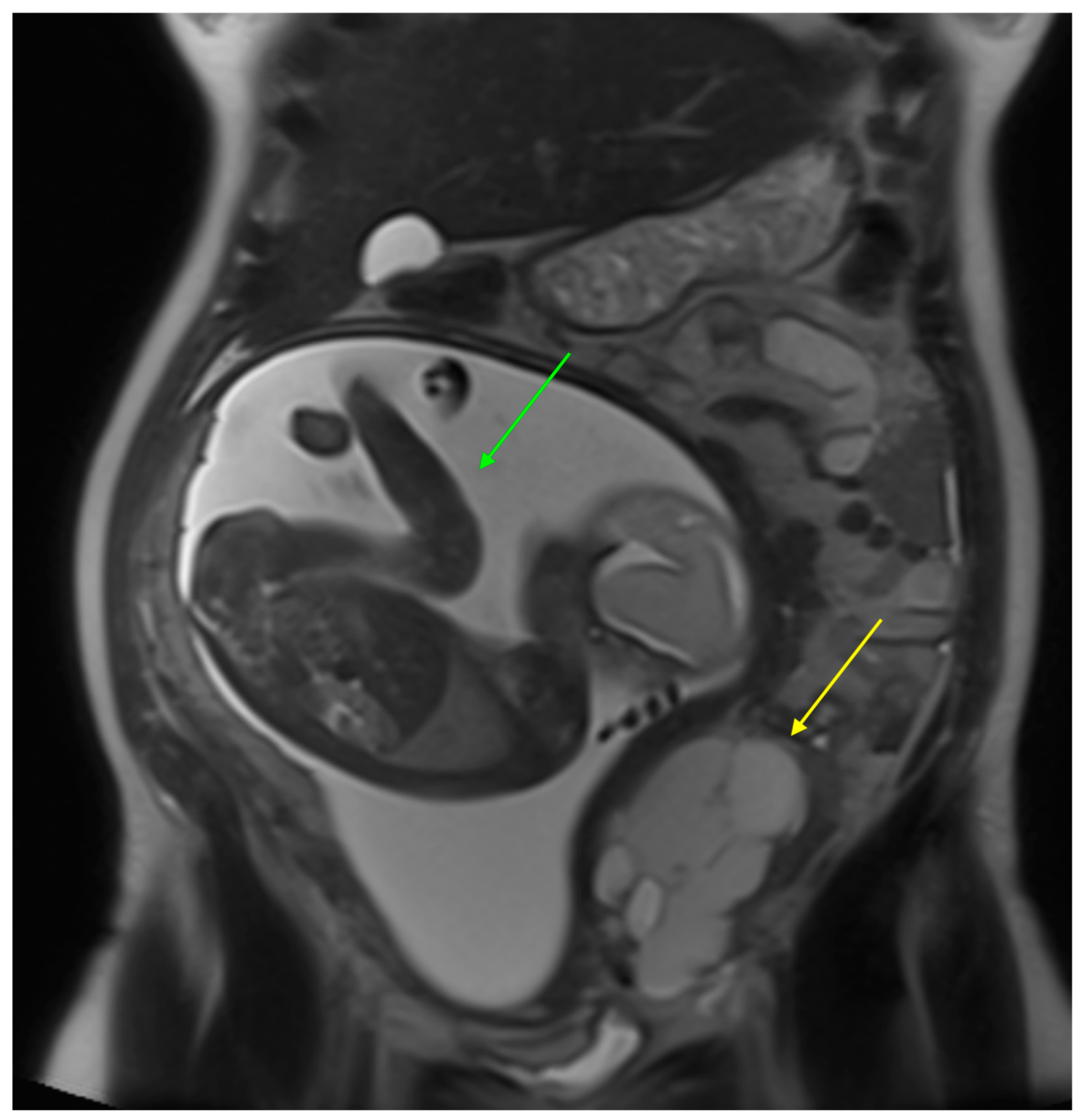 Curroncol 31 00144 g001