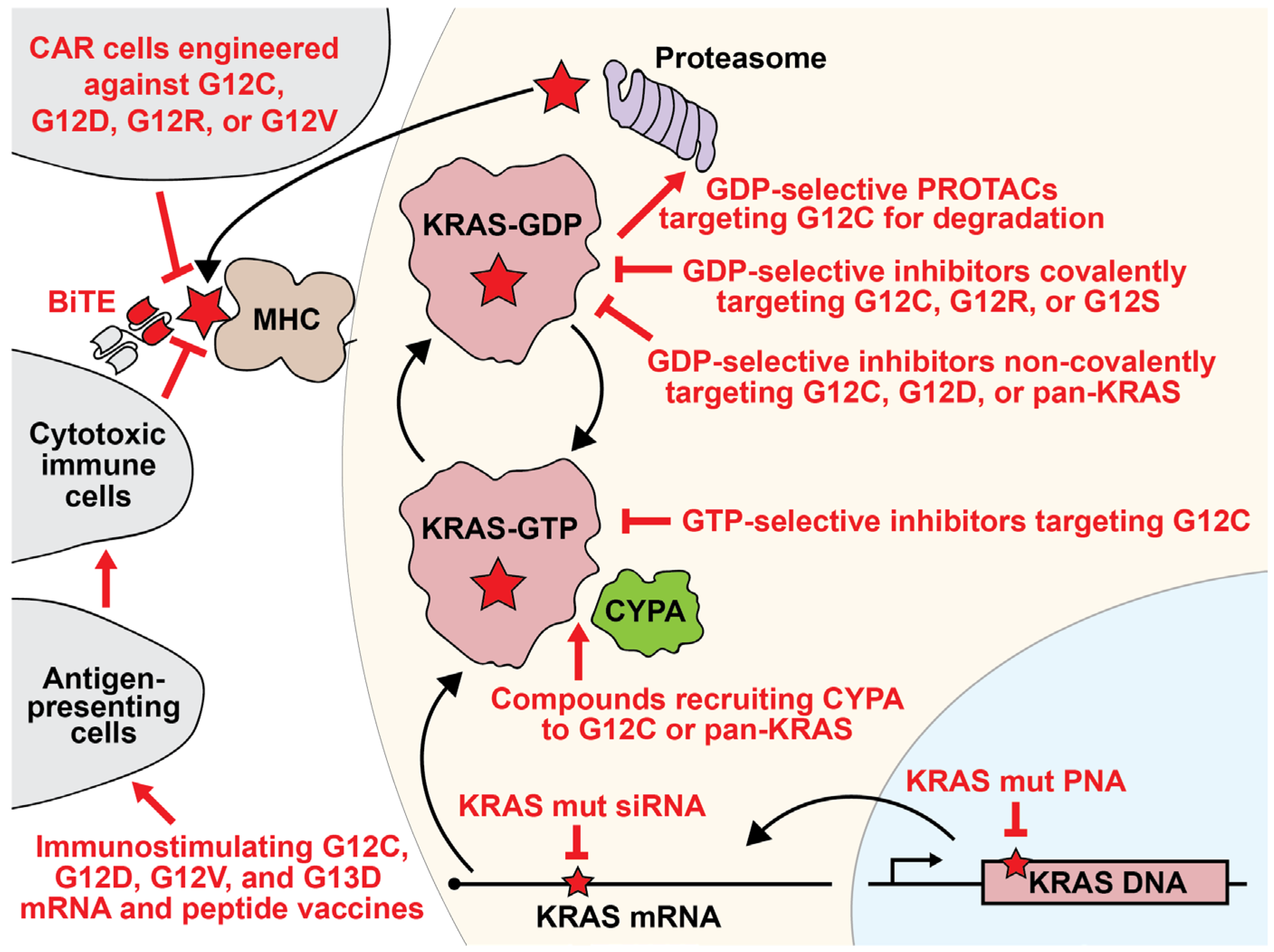 Curroncol 31 00150 g003