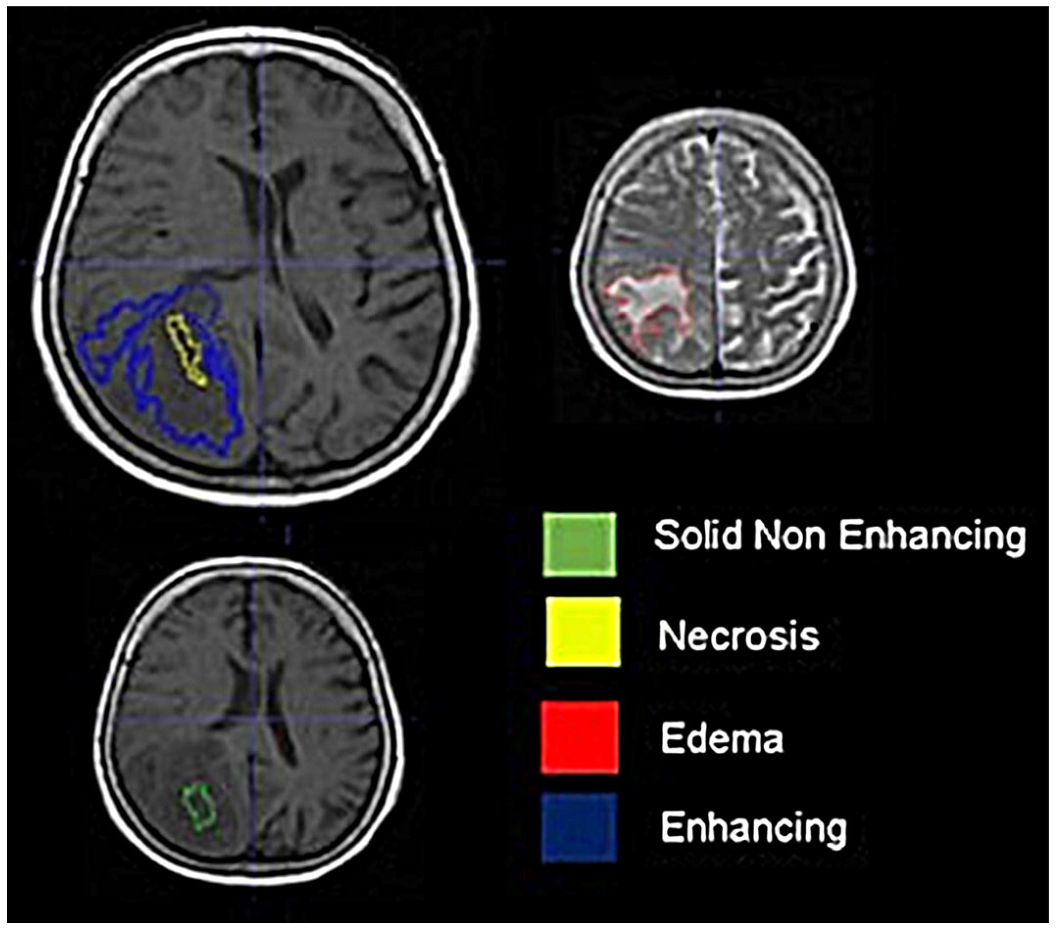 Curroncol 31 00165 g001