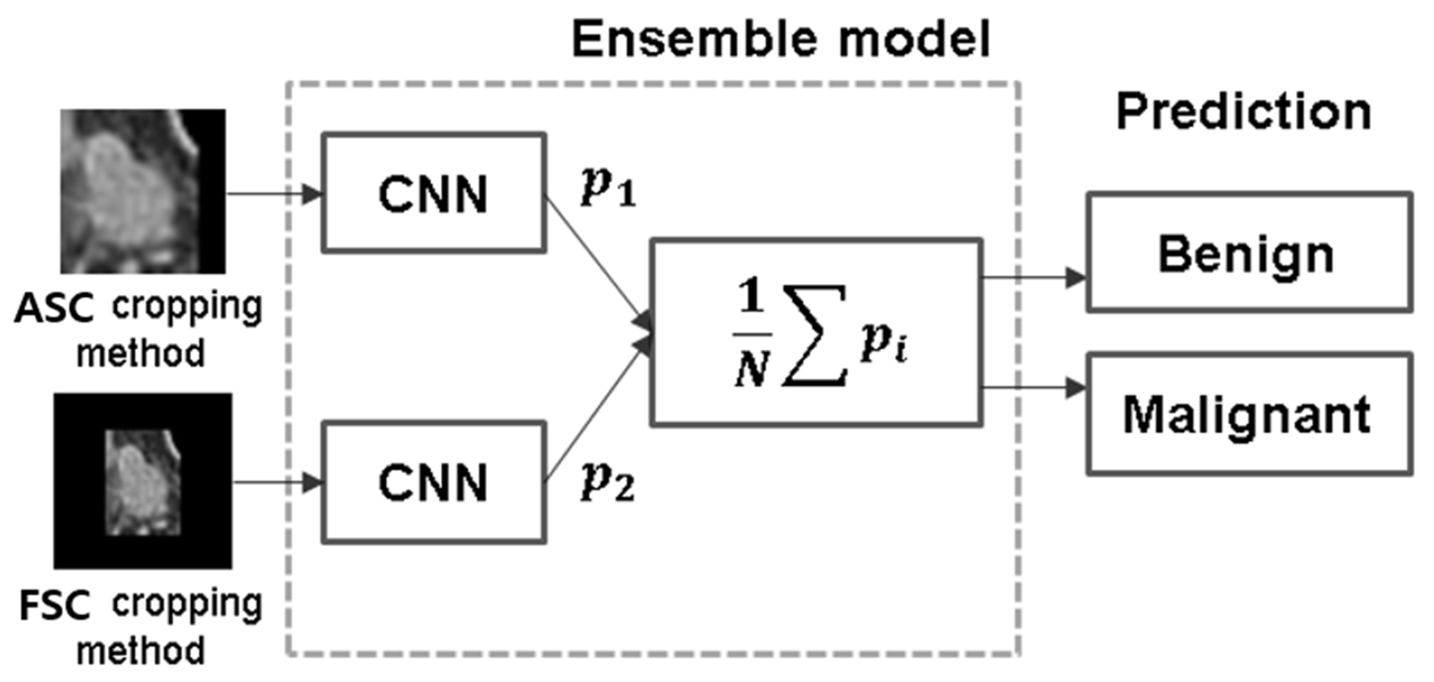 Curroncol 31 00169 g004