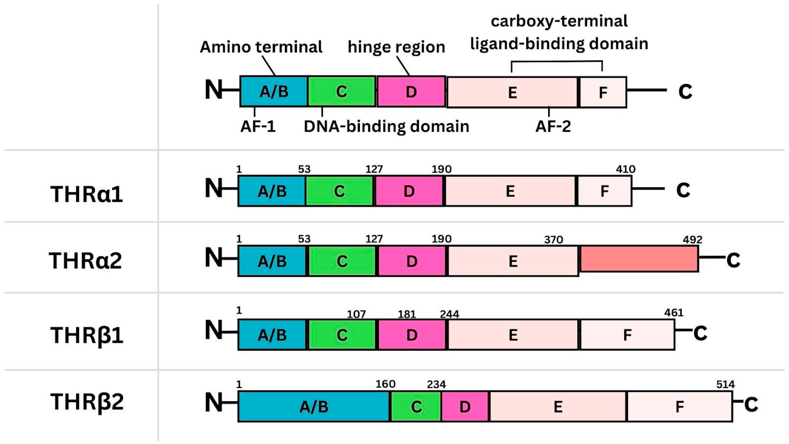 Curroncol 31 00176 g001