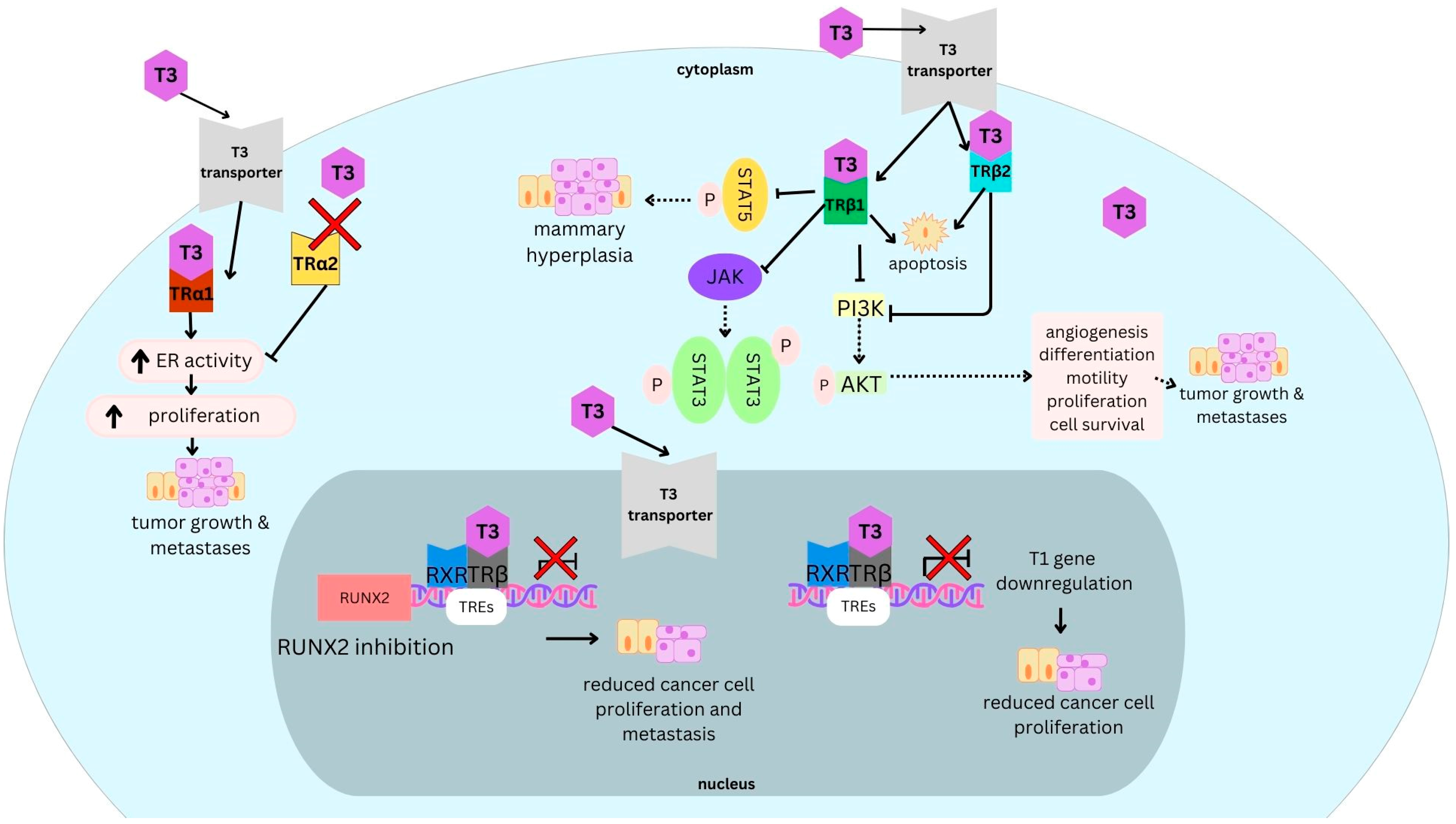 Curroncol 31 00176 g002