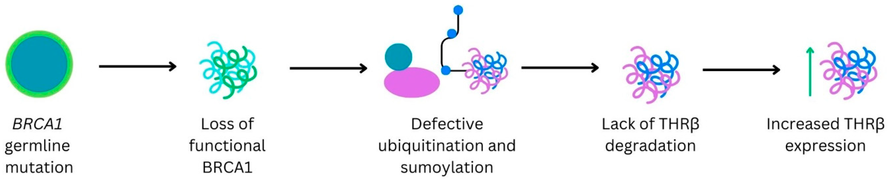 Curroncol 31 00176 g003