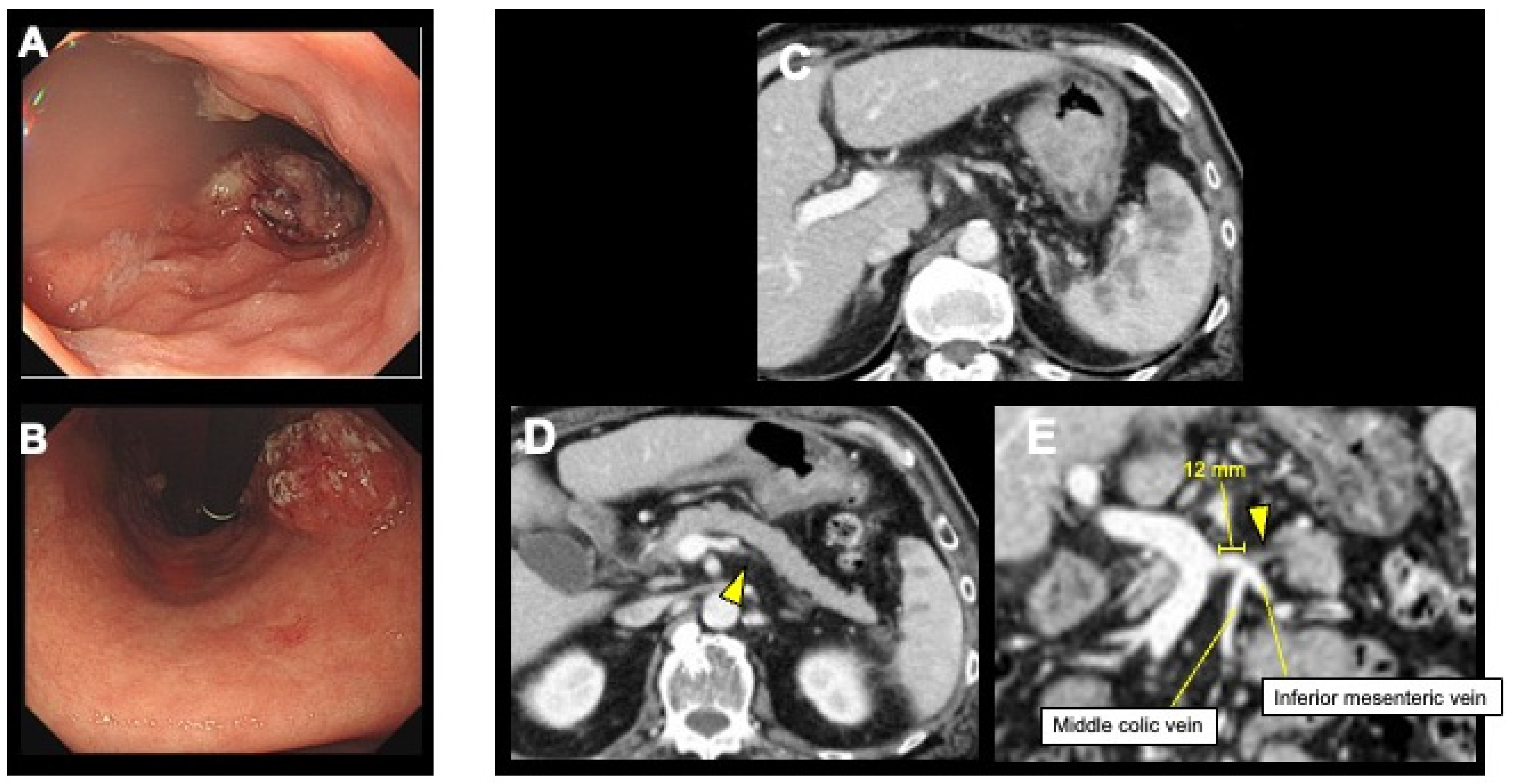 Curroncol 31 00201 g003